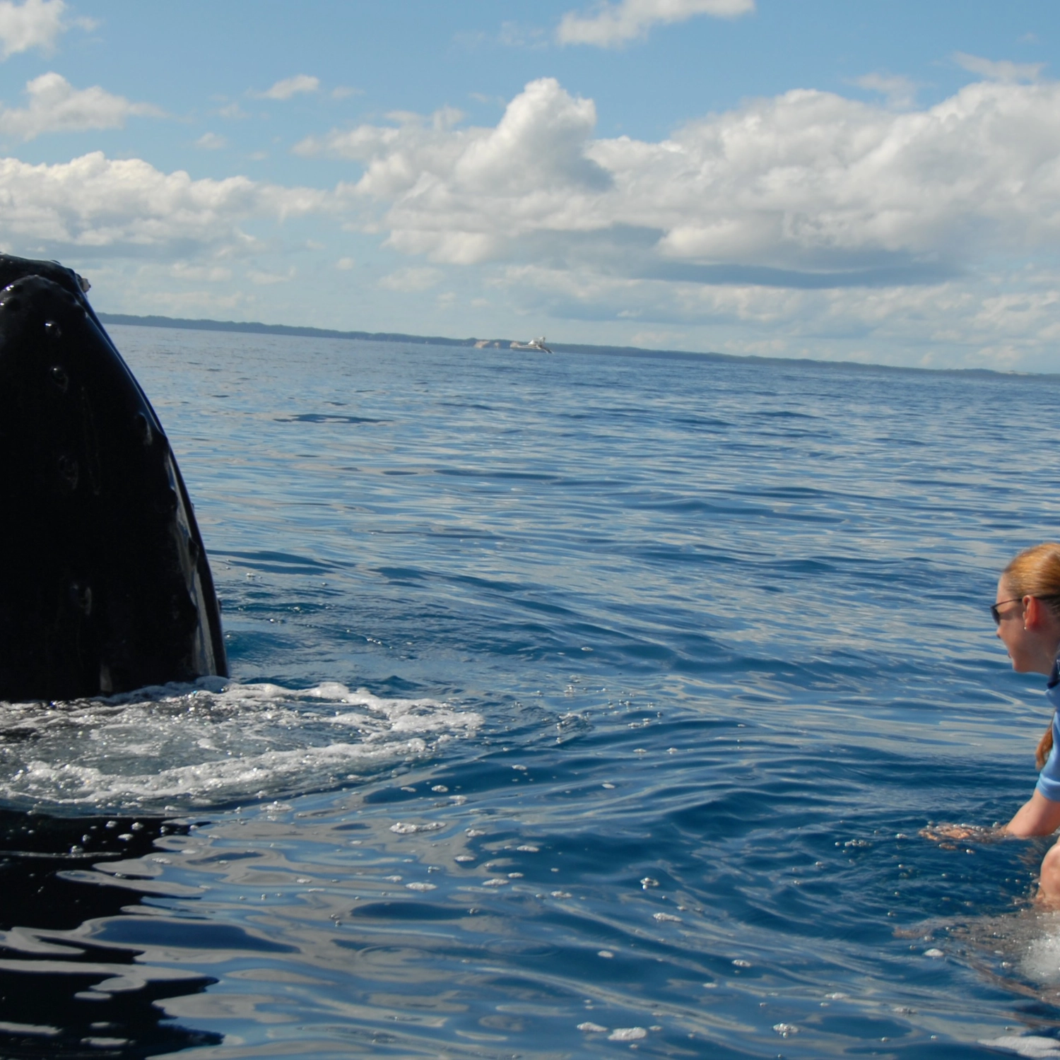 Exclusive Whale Watching Encounter 5