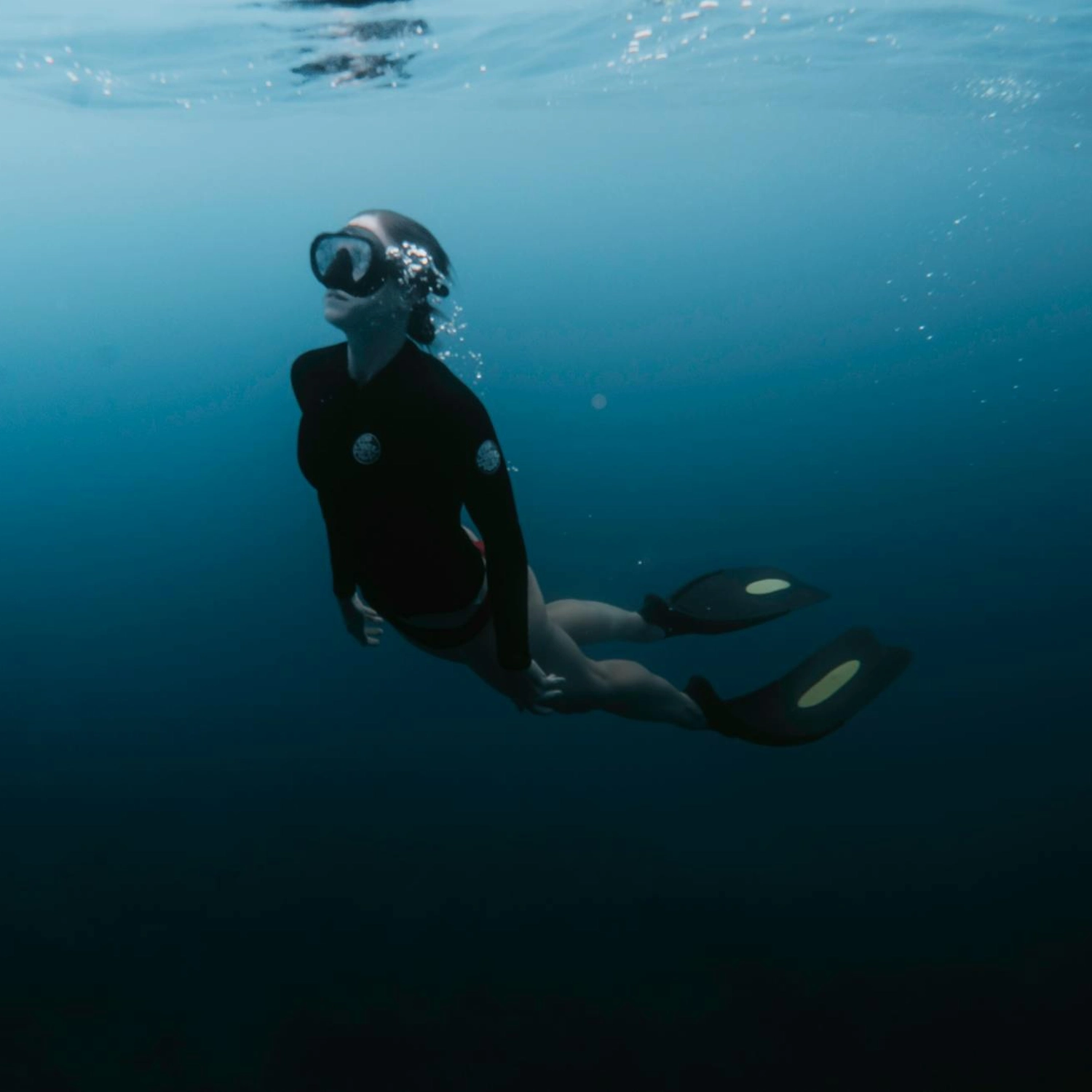 Sea Turtle Snorkel Tour 3