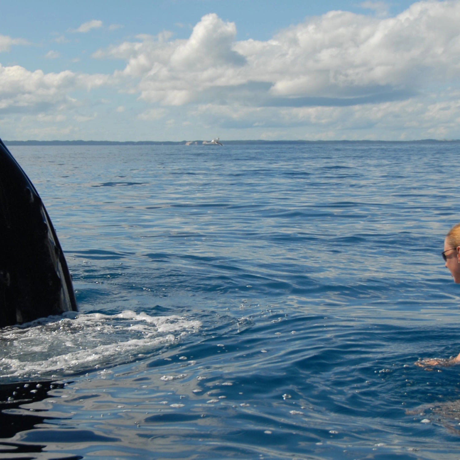 Exclusive Whale Watching — Family Package (2 Adults + 2 Children) 4