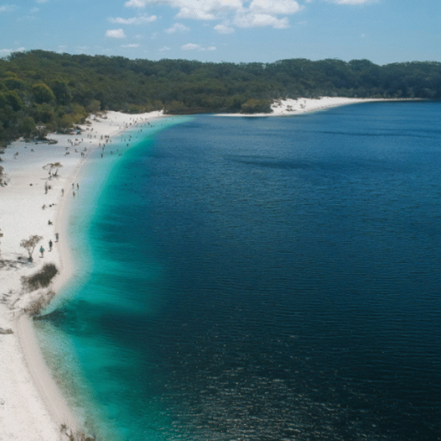 K'gari Day Tour — Rainbow Beach to Rainbow Beach 4