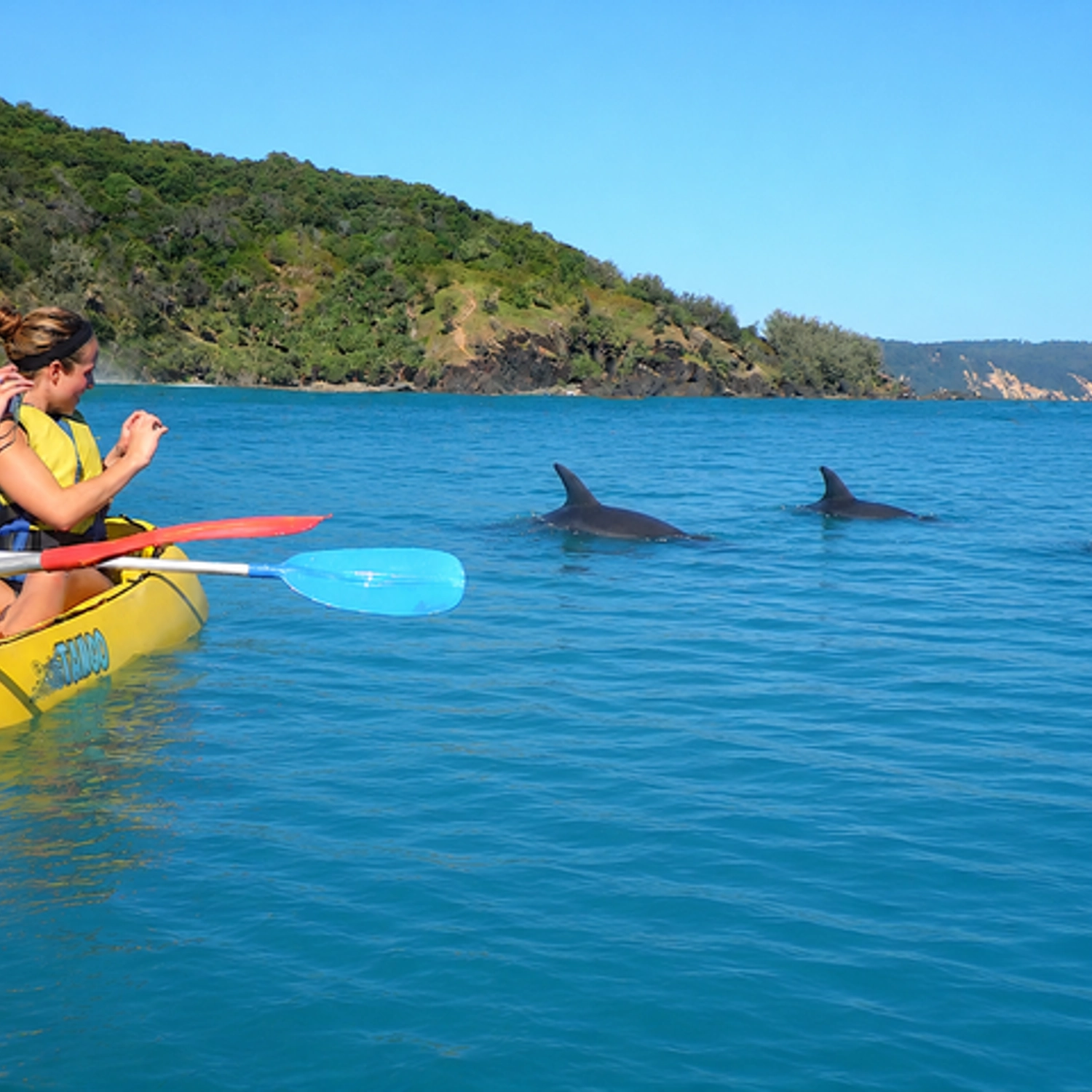 Noosa: Epic Dolphin Ocean Kayak Tour & Beach 4X4 Adventure 2