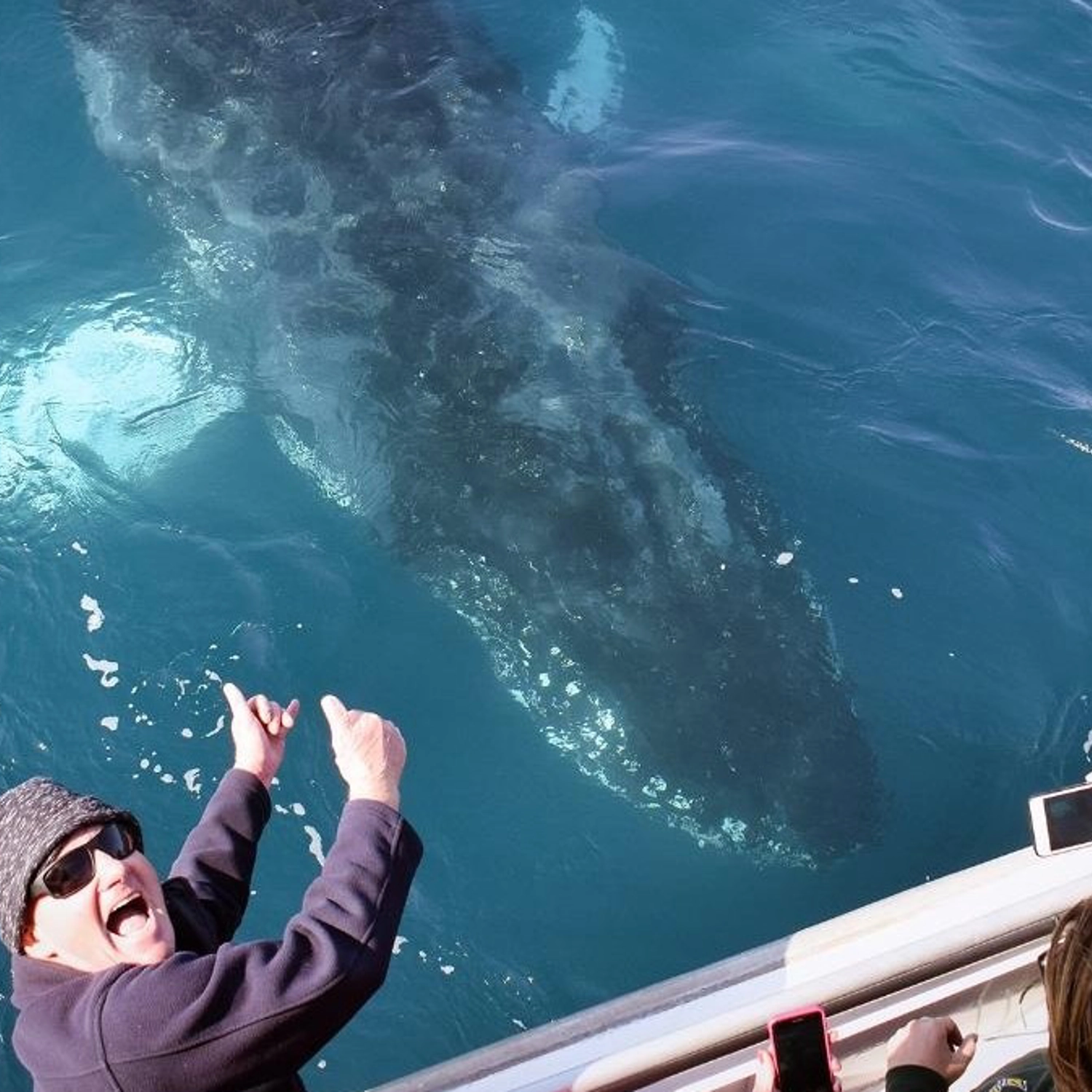 Wilsons Prom Whale Cruise