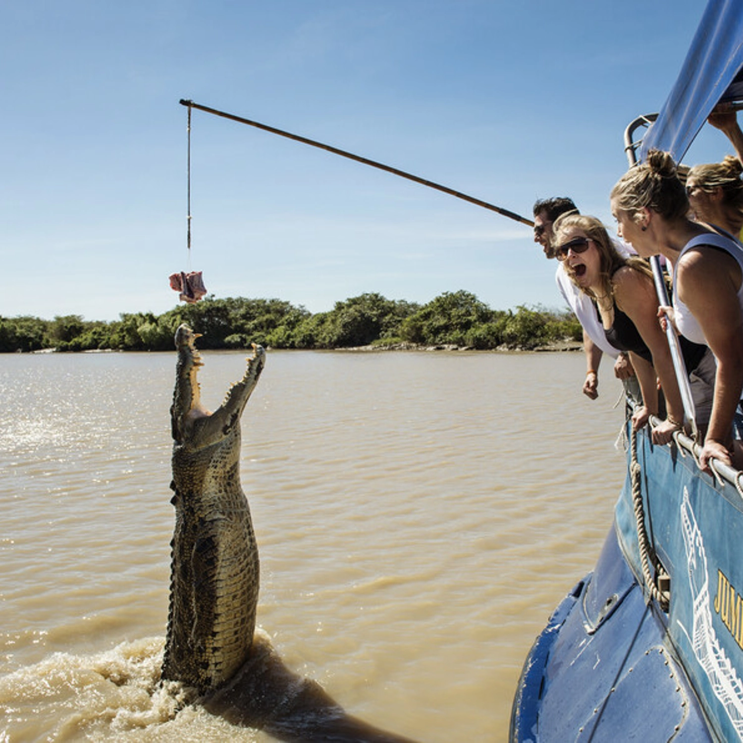 Jumping Crocodile Tour (Half Day) 7