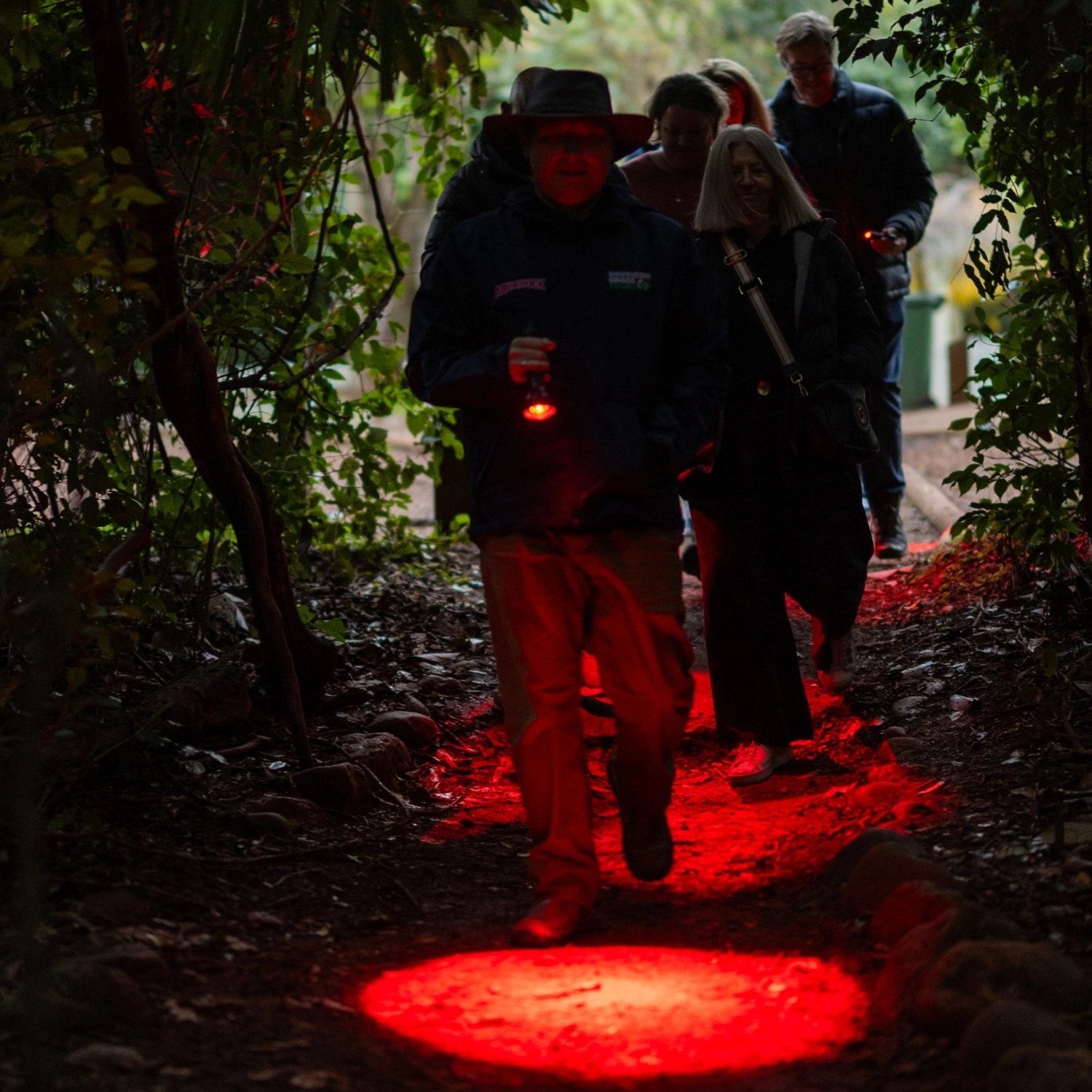 Evening Rainforest & Glow Worm Experience — Gold Coast 8