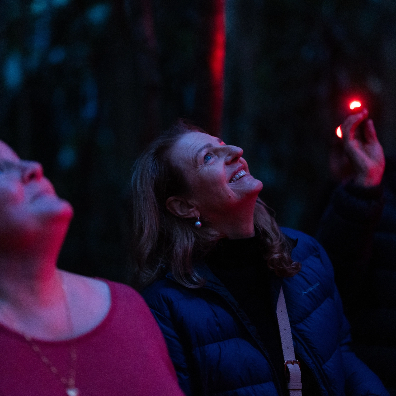 Evening Rainforest & Glow Worm Experience — Gold Coast 5