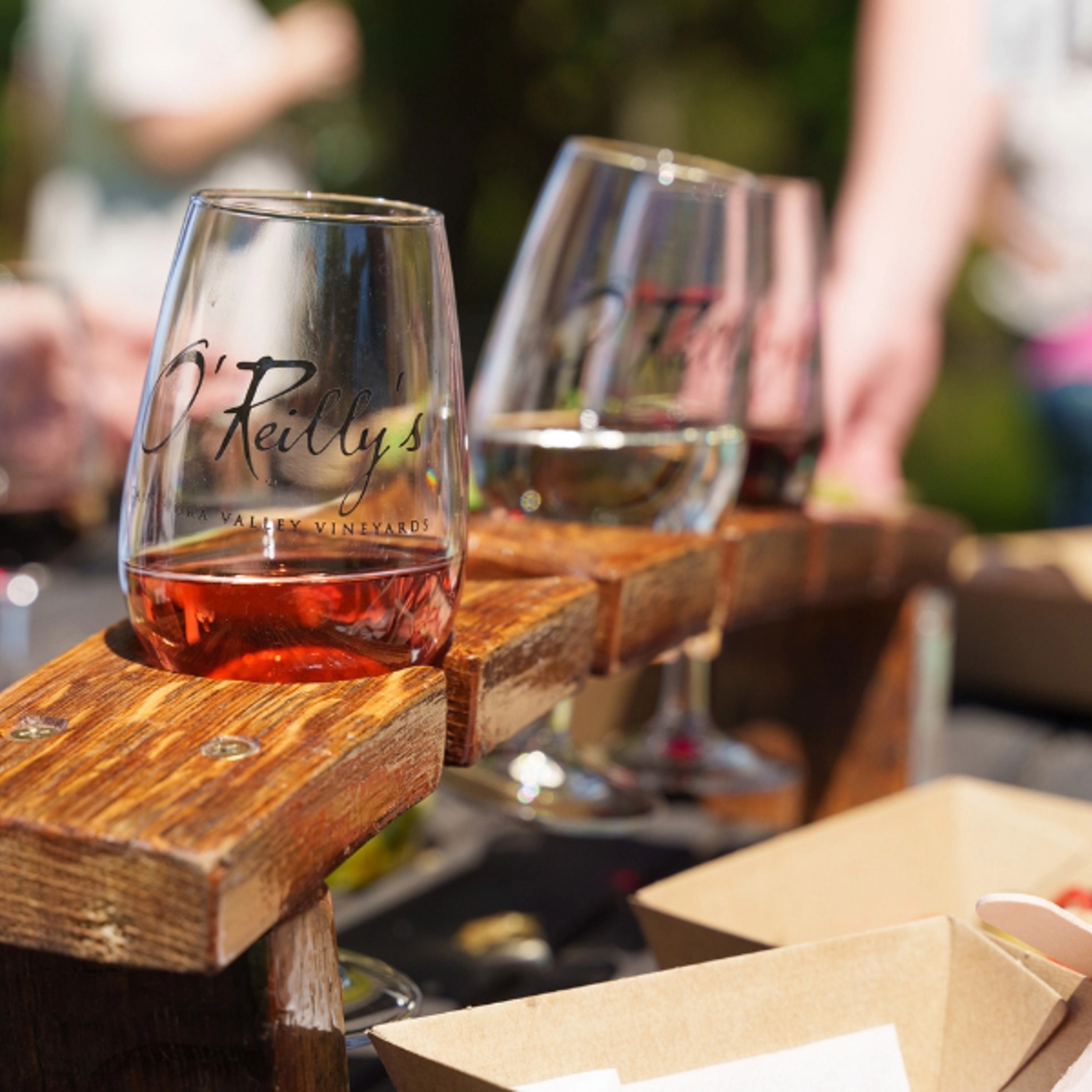 Lamington National Park, O'Reilly's & Vineyard Tour 8