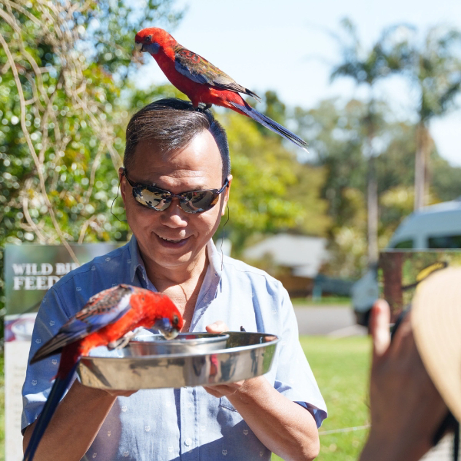 Lamington National Park, O'Reilly's & Vineyard Tour 4