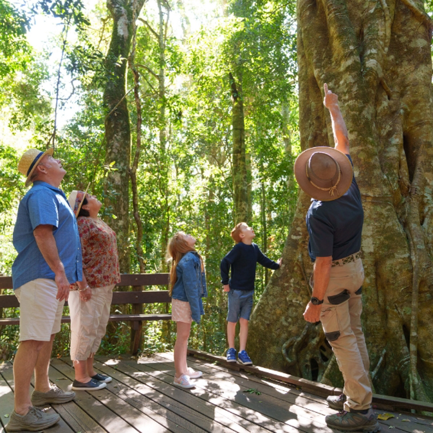 Lamington National Park, O'Reilly's & Vineyard Tour 3