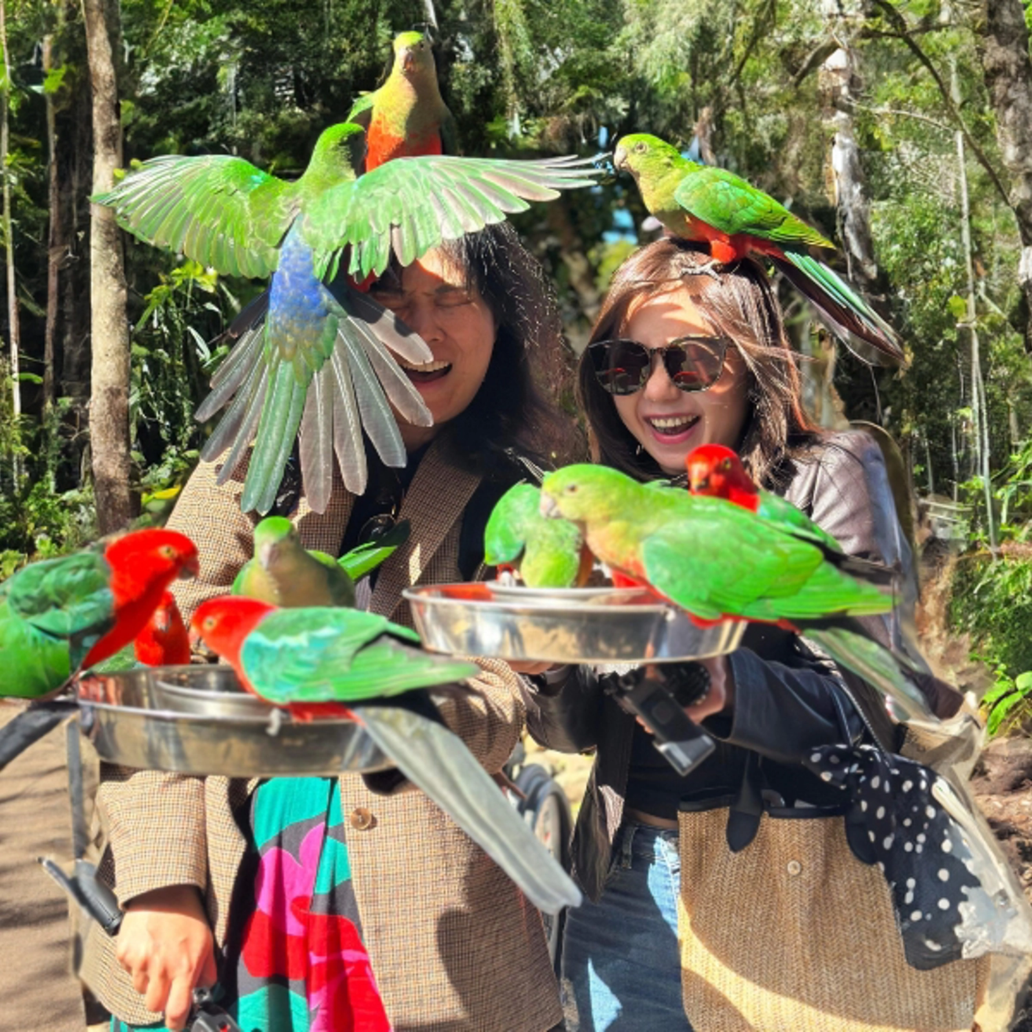 Lamington National Park, O'Reilly's & Vineyard Tour 7