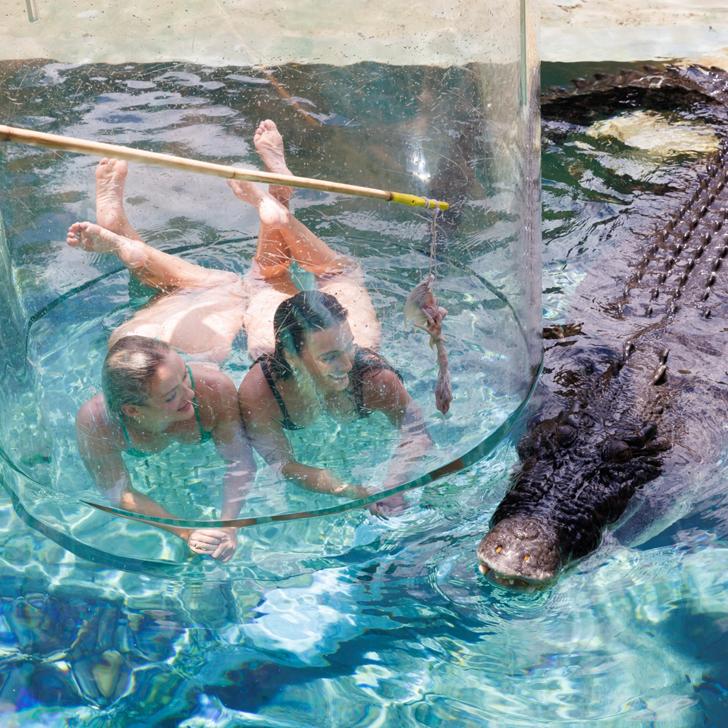 Crocosaurus Cove Cage of Death (2 People) 5