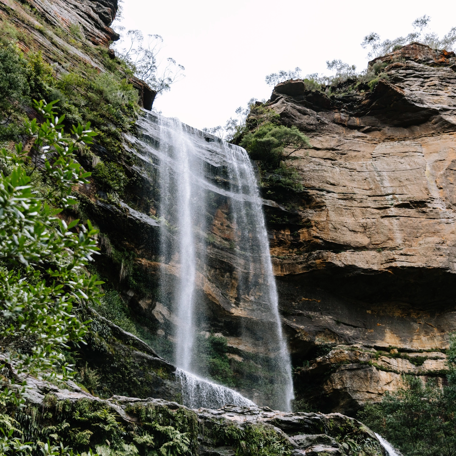 Blue Mountains & Wildlife Park Day Trip 3
