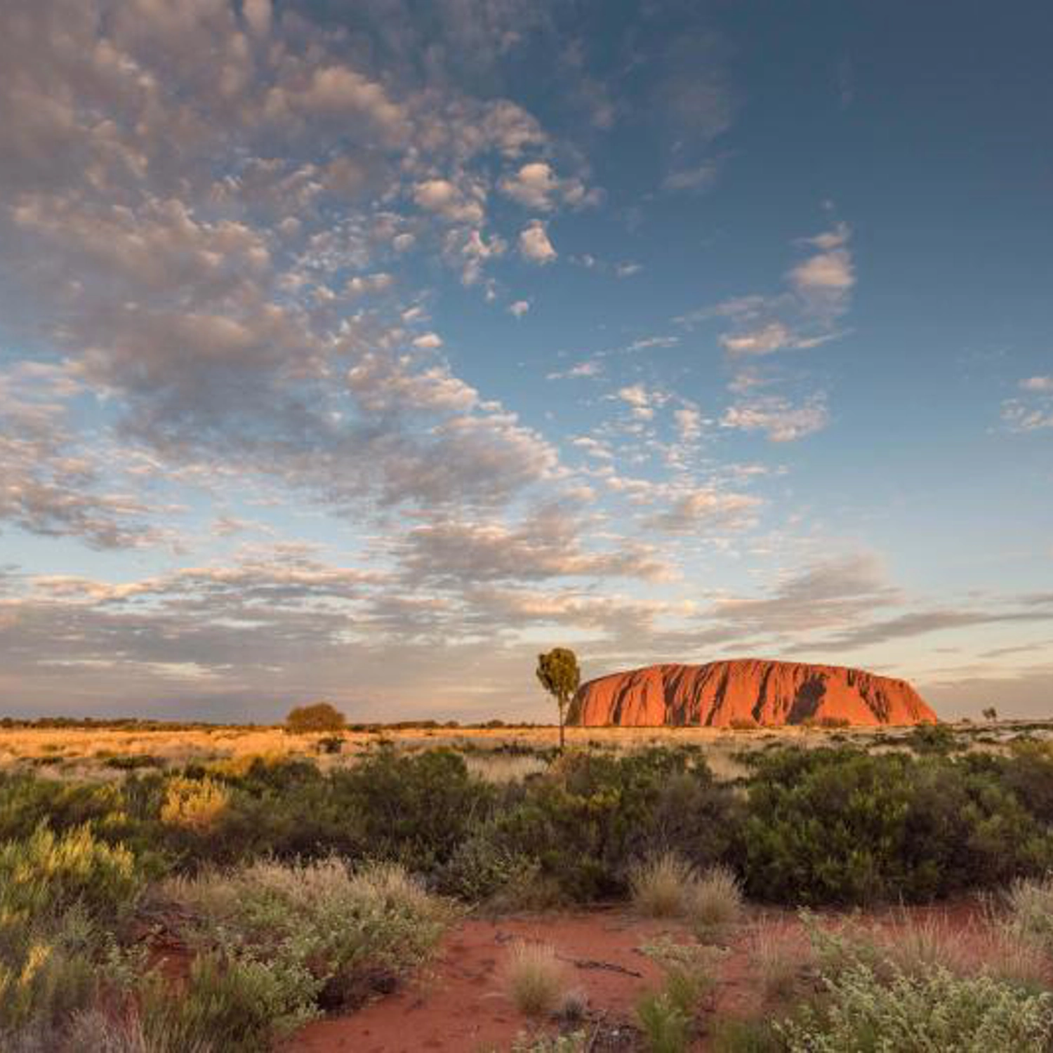 Uluru, Kata Tjuta & Kings Canyon 3 Day Eco Tent 7