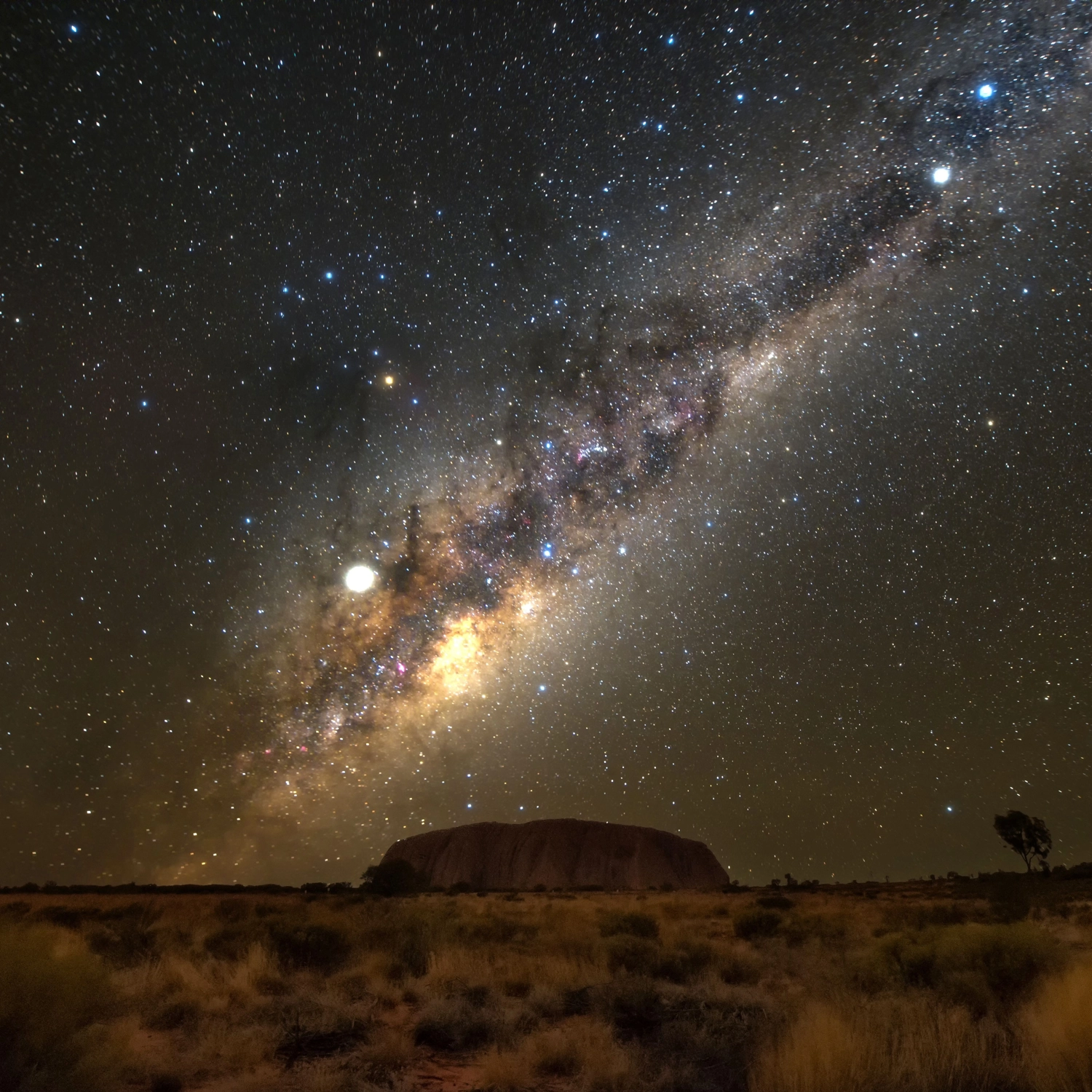 Uluru, Kings Canyon & MacDonnell Ranges 5 Day 10