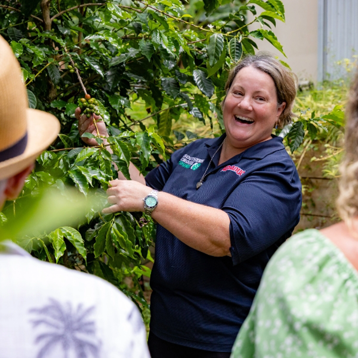 Tastes of Tamborine Mountain Premium Food & Wine Tour 3