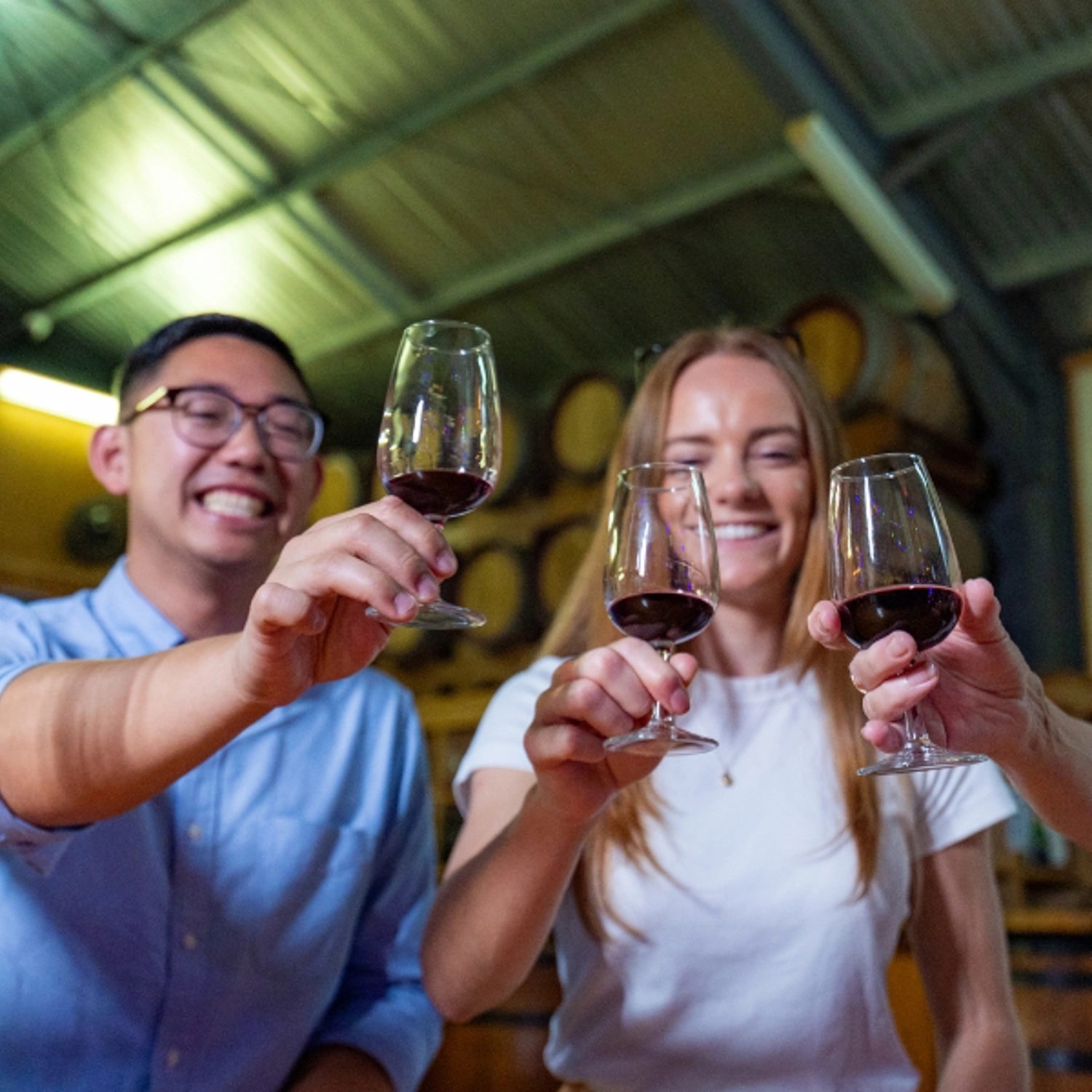 Tastes of Tamborine Mountain Premium Food & Wine Tour 6