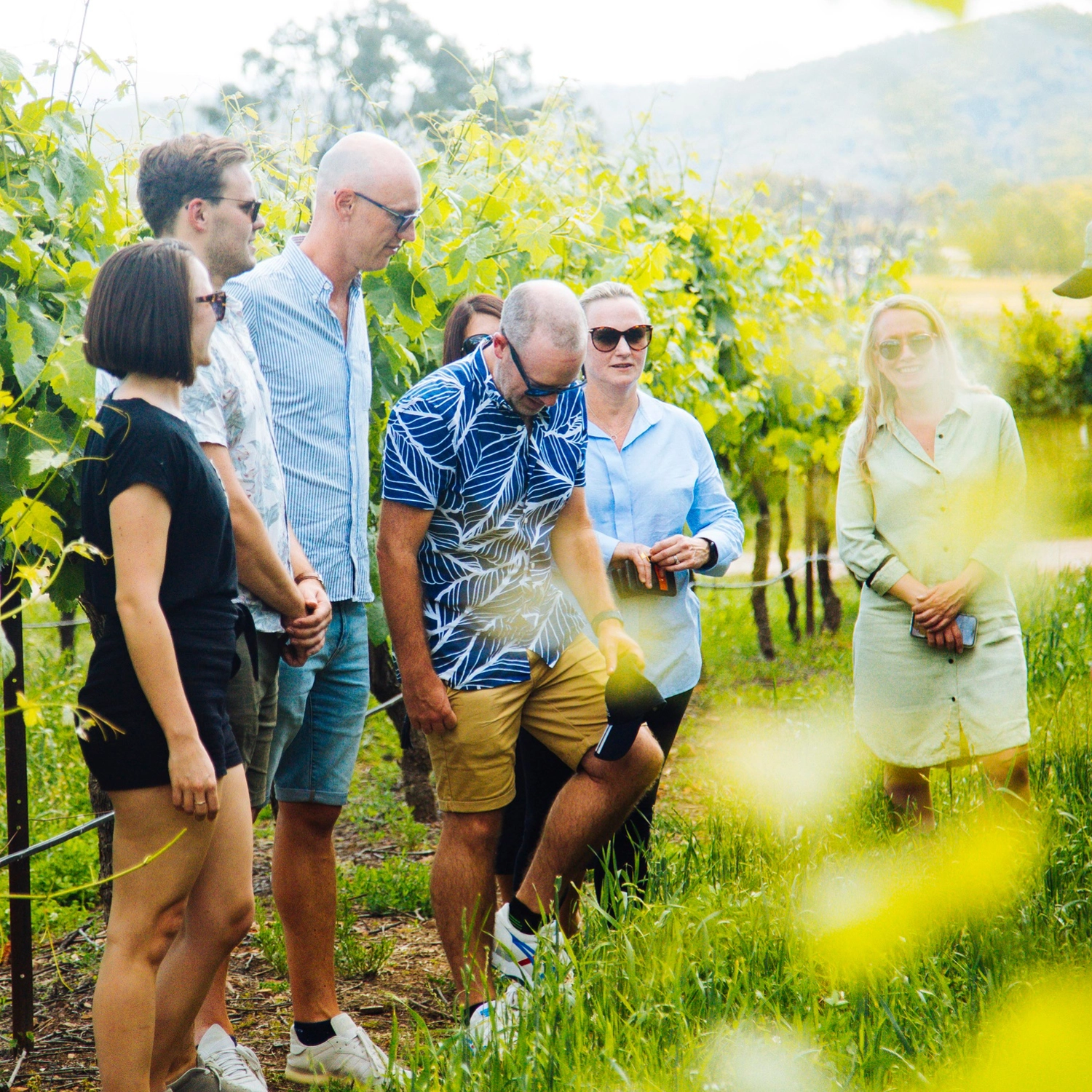 Hunter Valley Wineries Colourful Trip 4