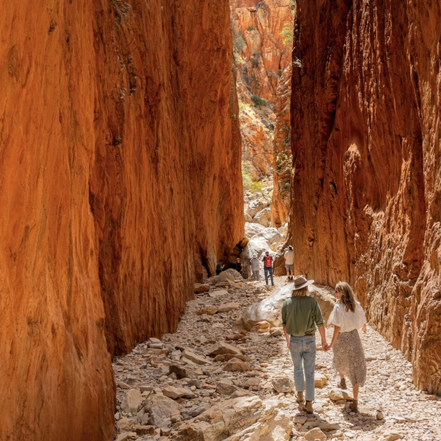 West MacDonnell Ranges Day Tour 10