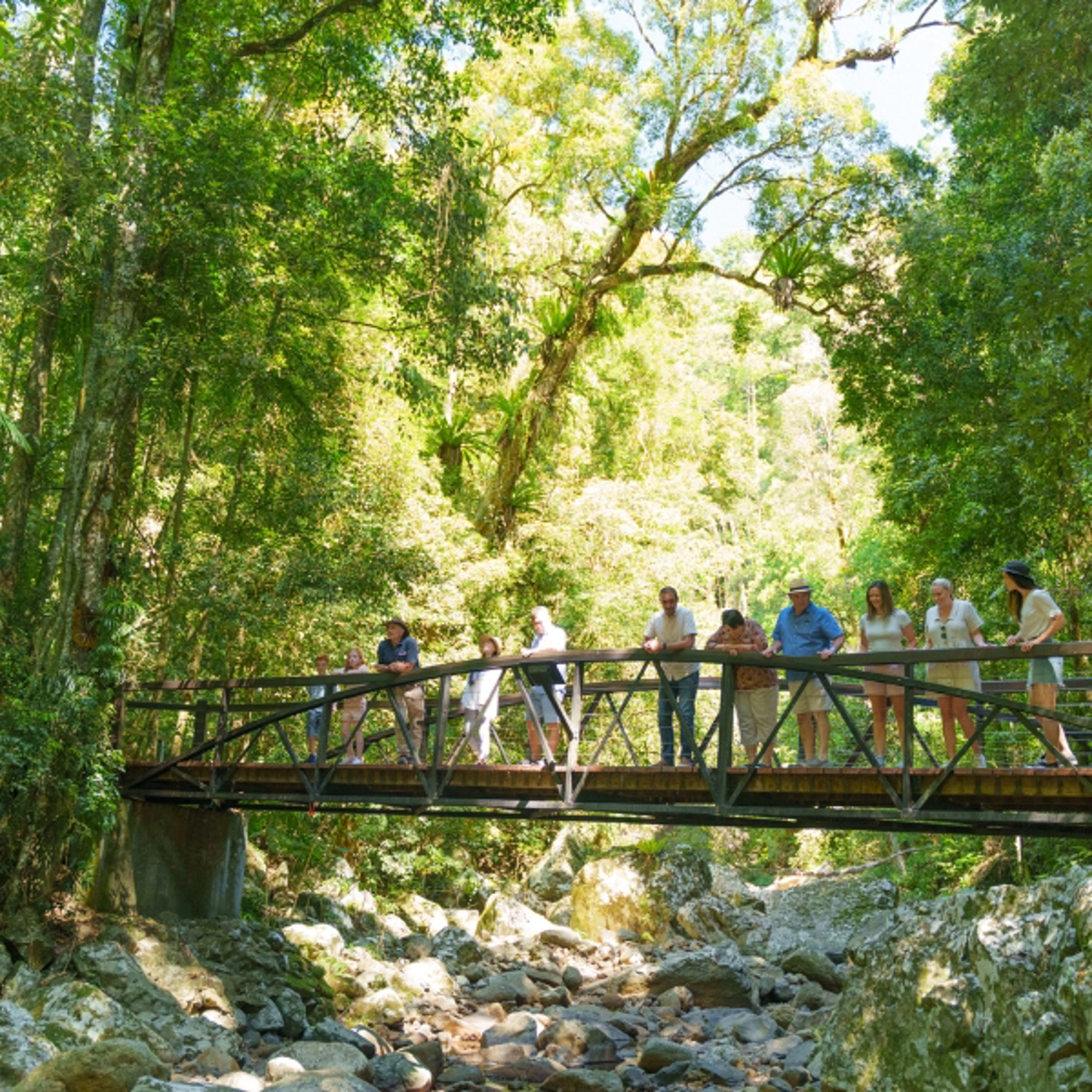 UNESCO Springbrook National Park, Waterfalls & Natural Bridge 5