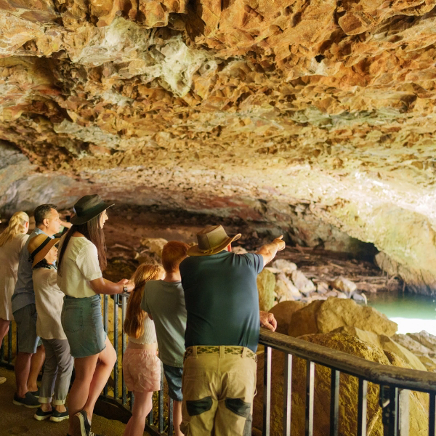 UNESCO Springbrook National Park, Waterfalls & Natural Bridge 6