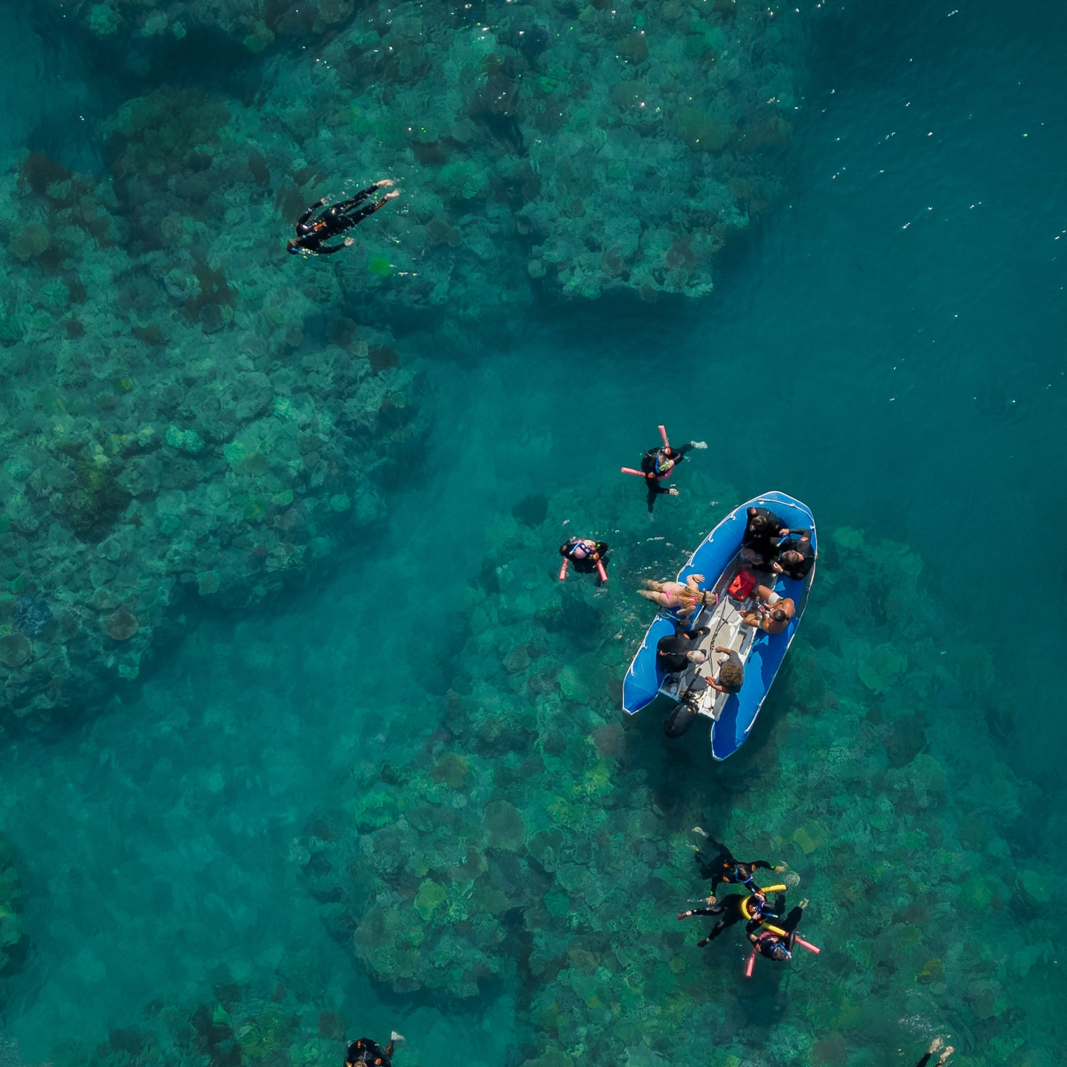 Whitsunday Bullet Day Tour 4
