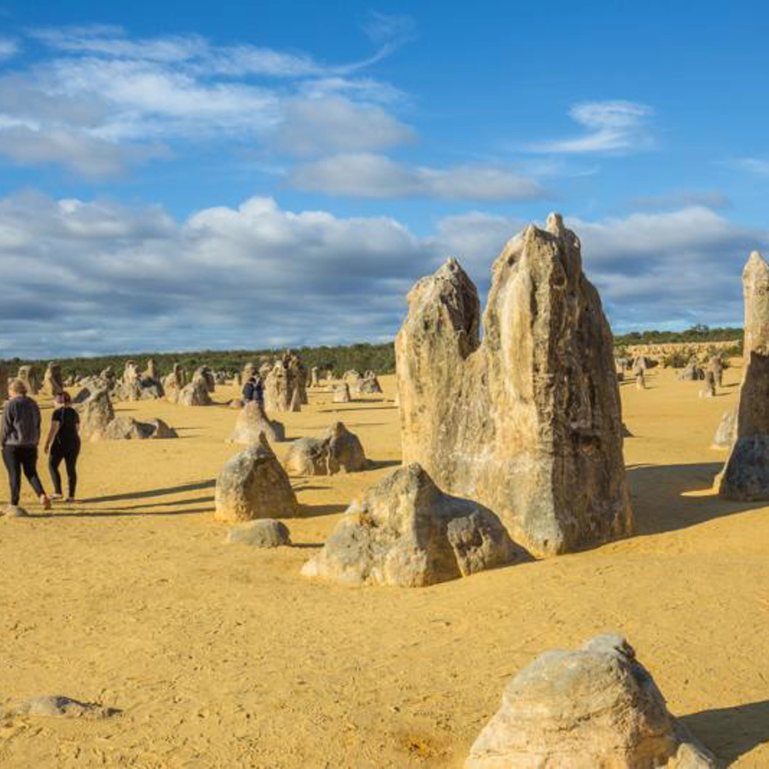 Perth to Exmouth One-Way 5 Day Tour 3