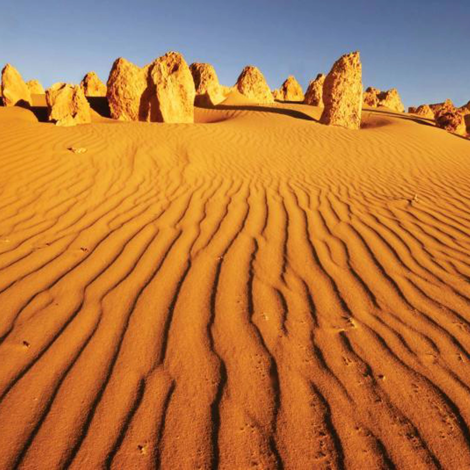 Perth to Exmouth One-Way 5 Day Tour 5