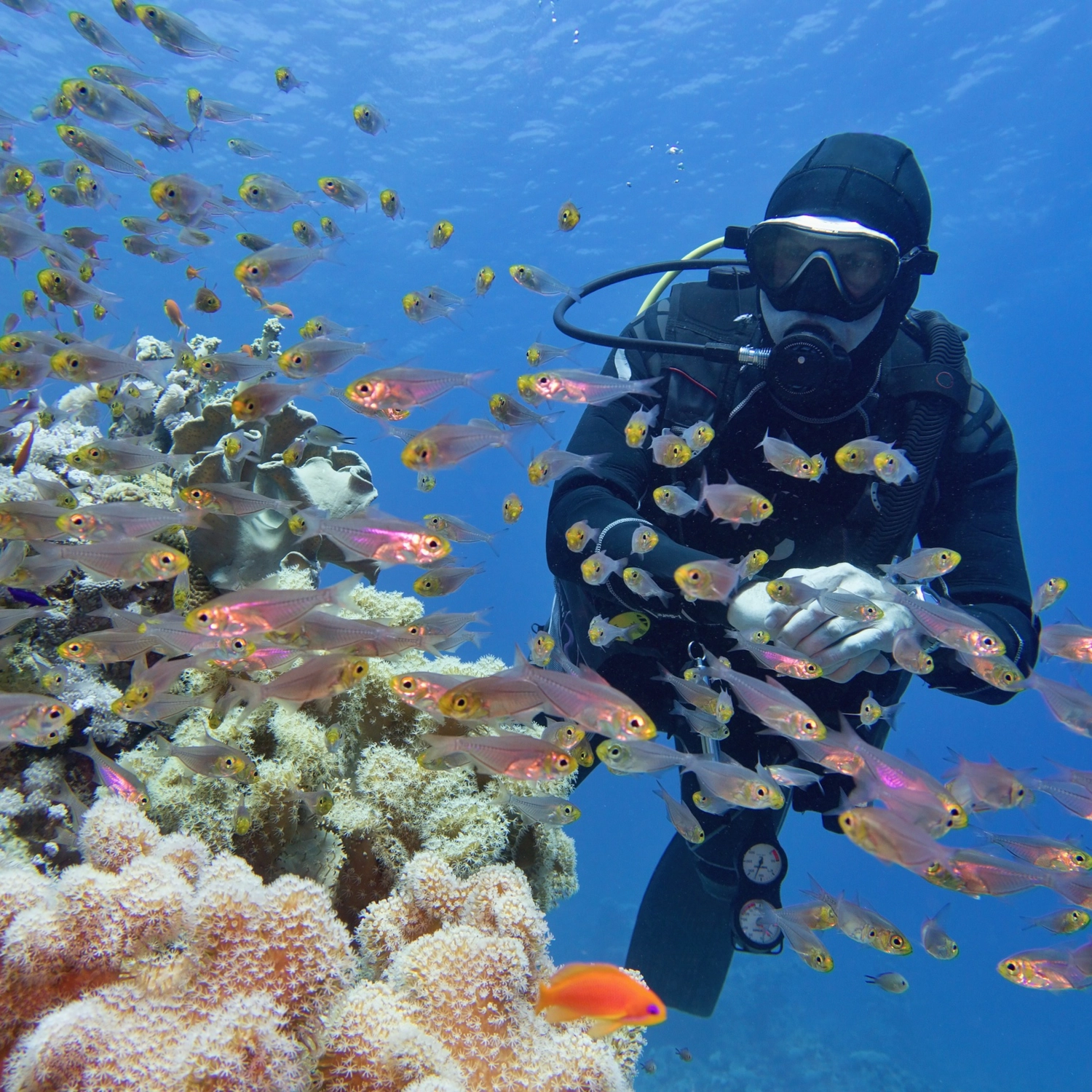 Summer Jo: 3 Day / 3 Night Whitsundays
