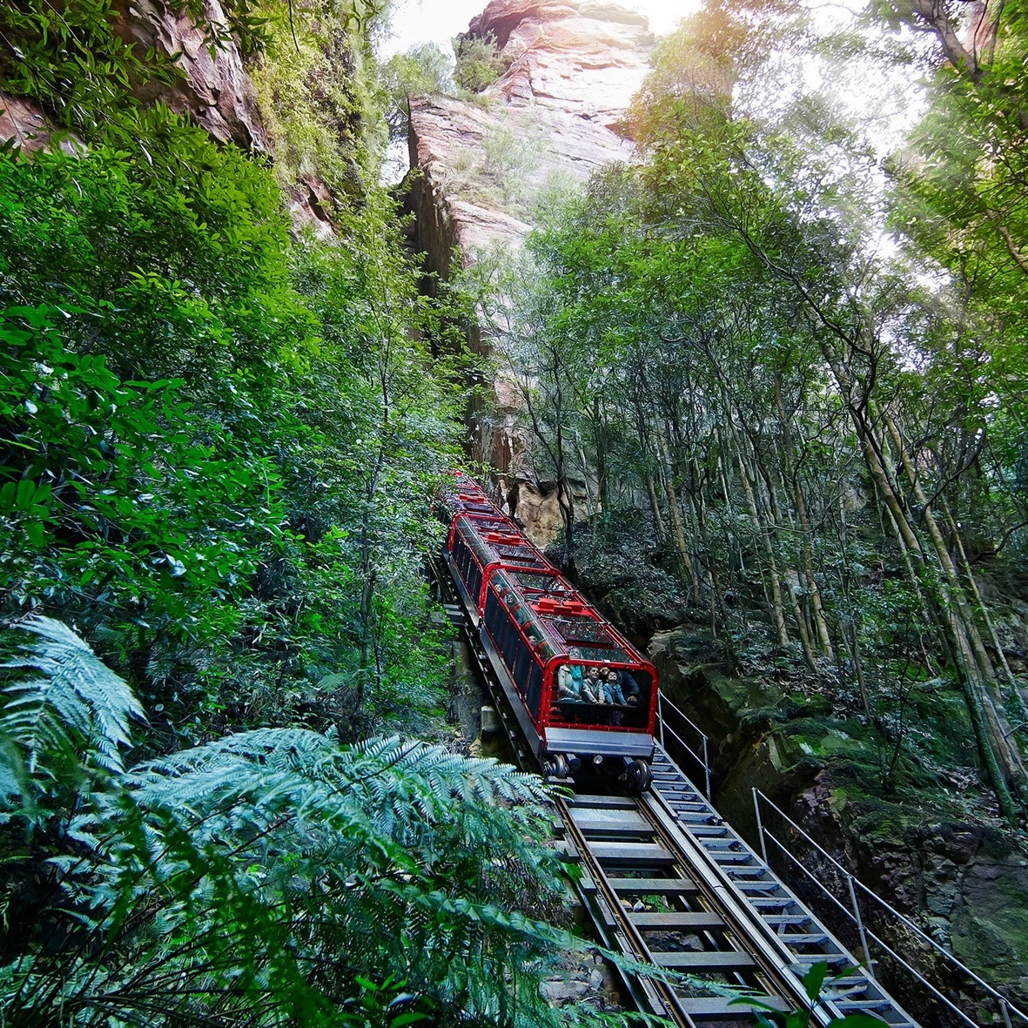 Blue Mountains All-Inclusive Signature Day Tour 7