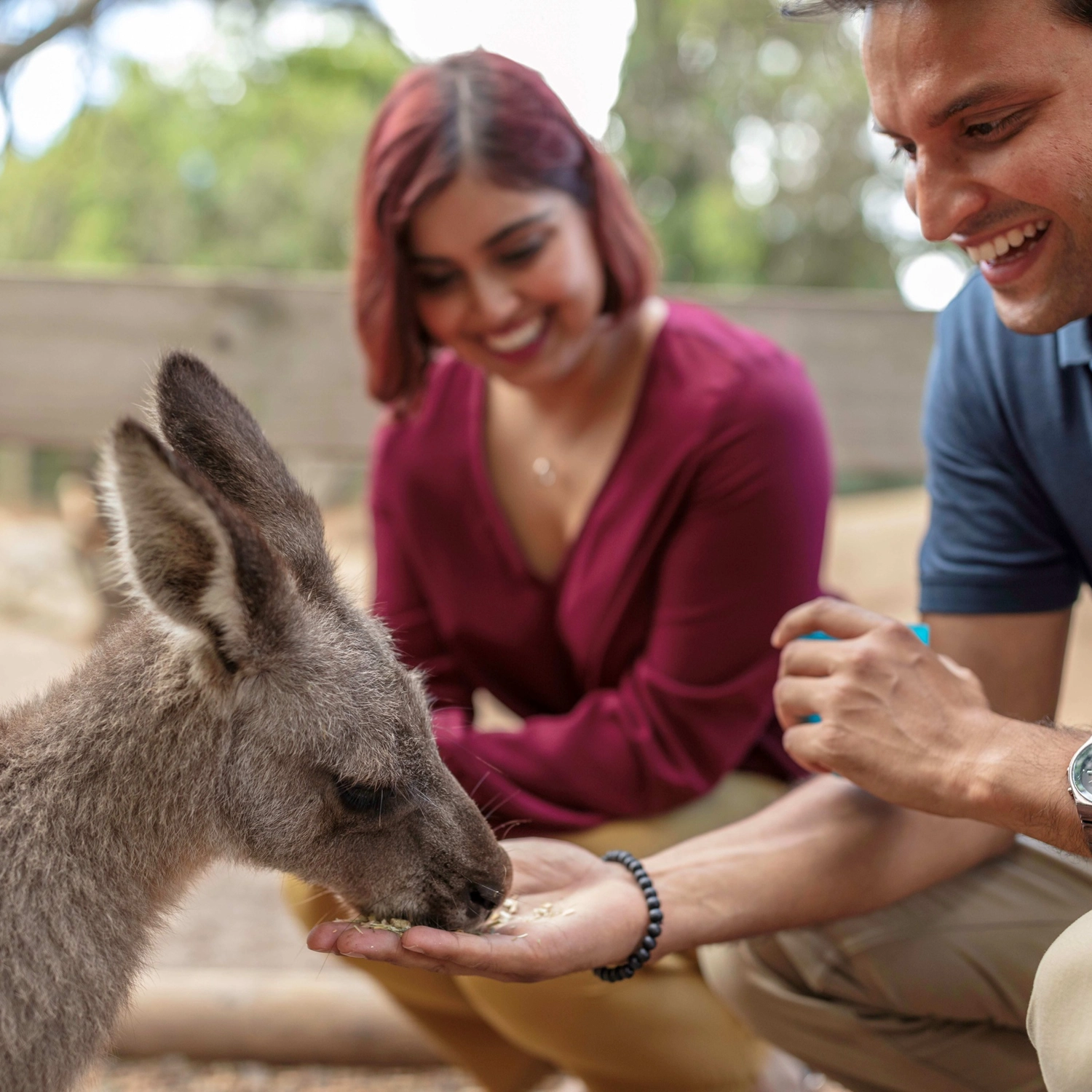 Blue Mountains All-Inclusive Signature Day Tour 5