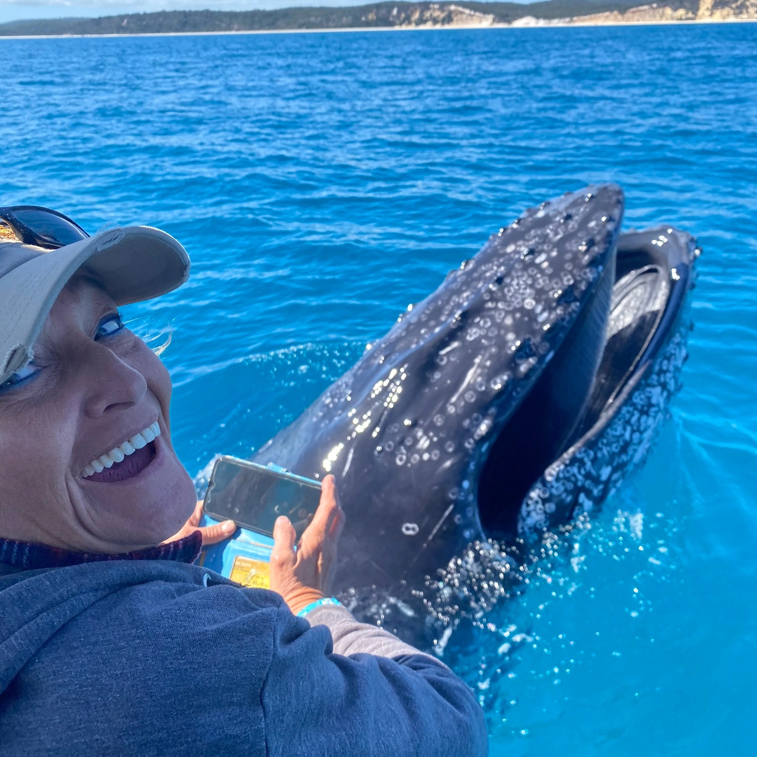 Noosa Ocean Adventures: Whale Watch