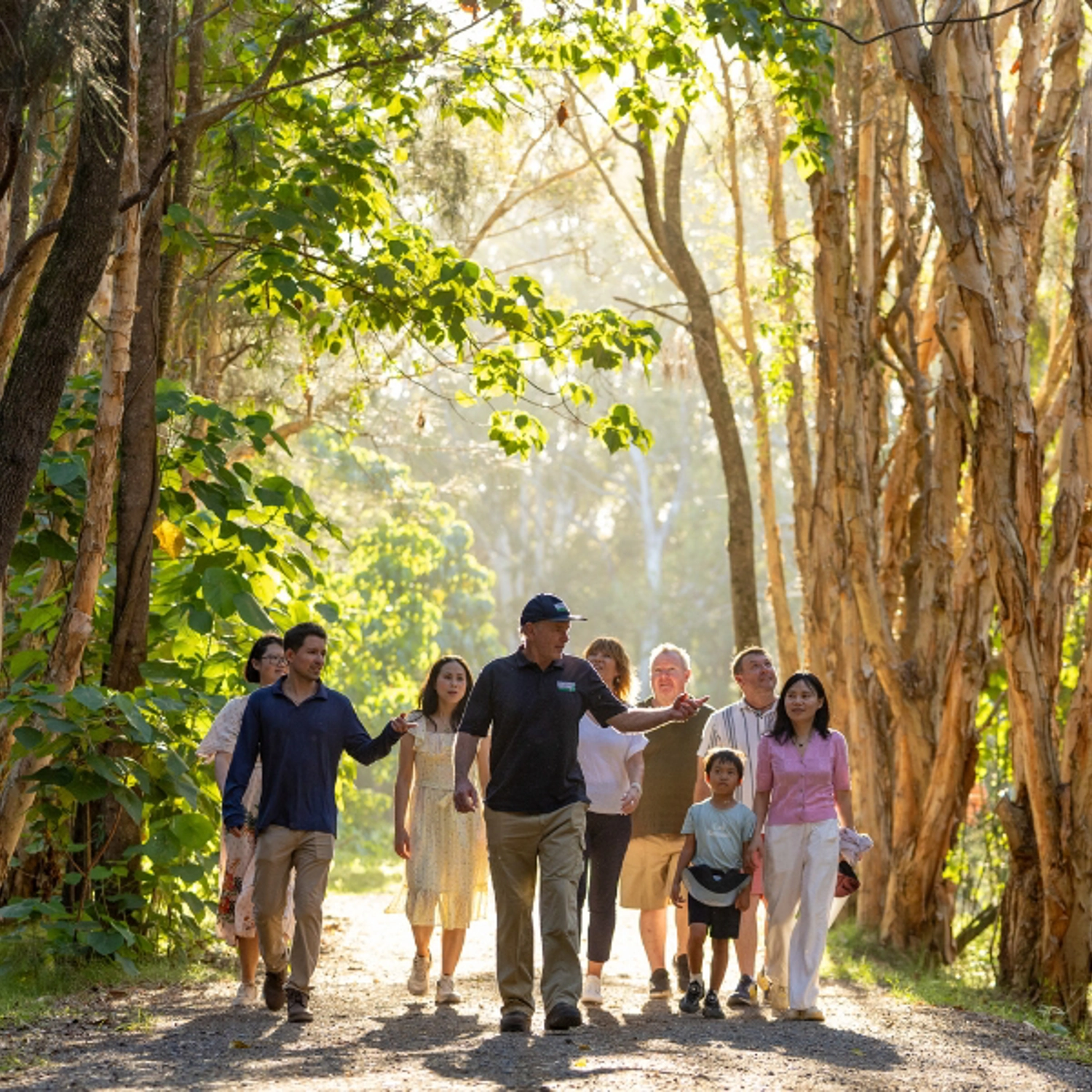 Kangaroos, Koalas & Tamborine Mountain Views 6