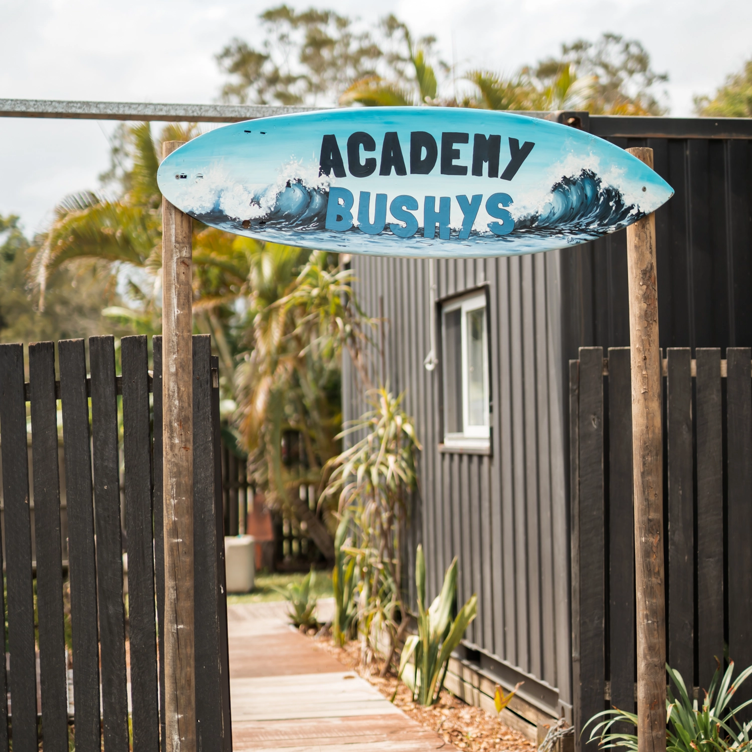 Surf Academy 1 Month Departing Sydney or Brisbane 10