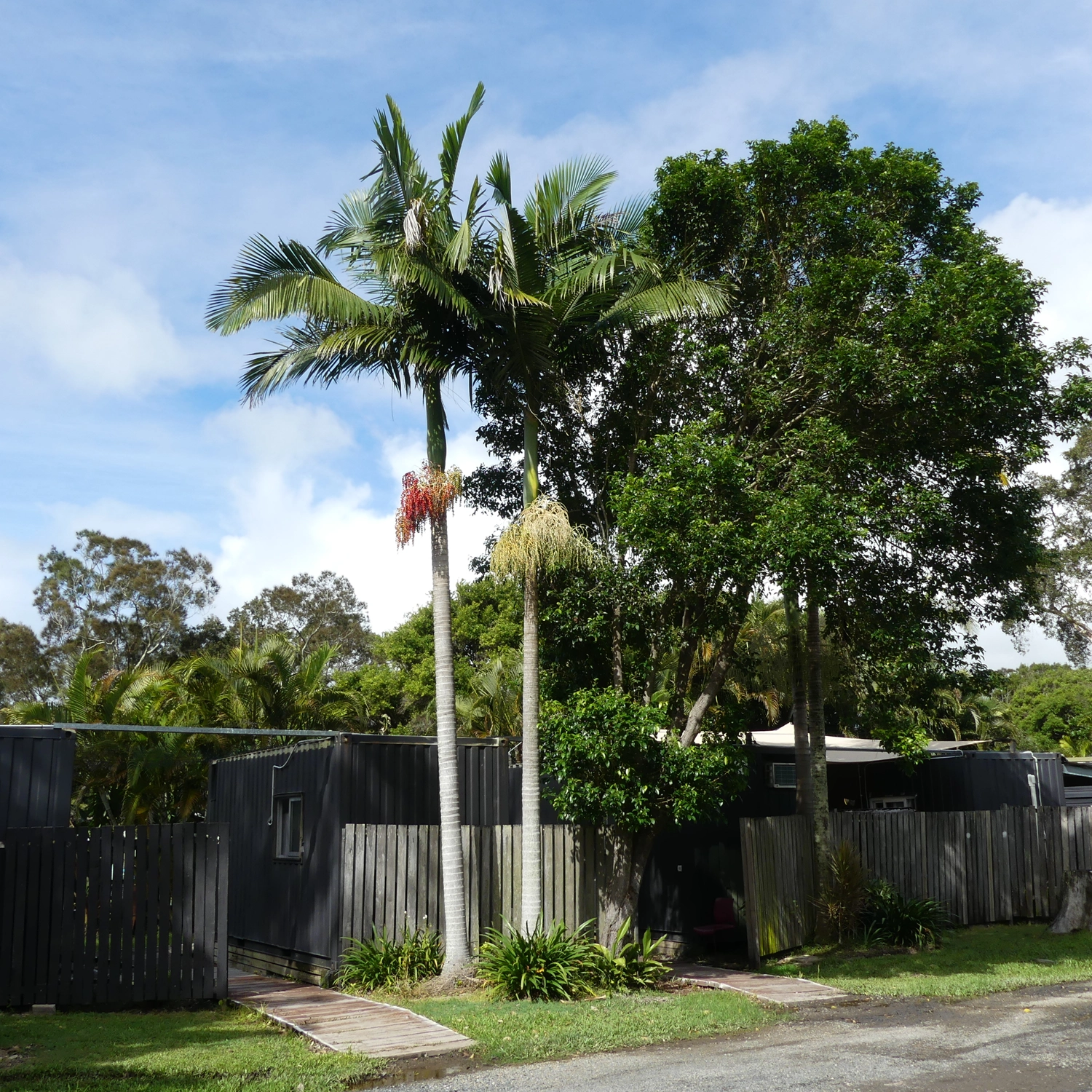 Surf Academy 1 Month Departing Sydney or Brisbane 7