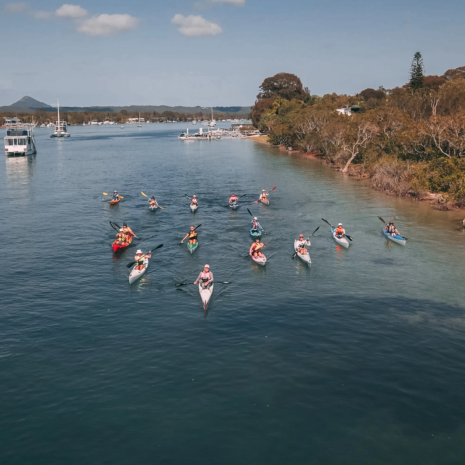 Noosa Mangroves Kayak Tour 3