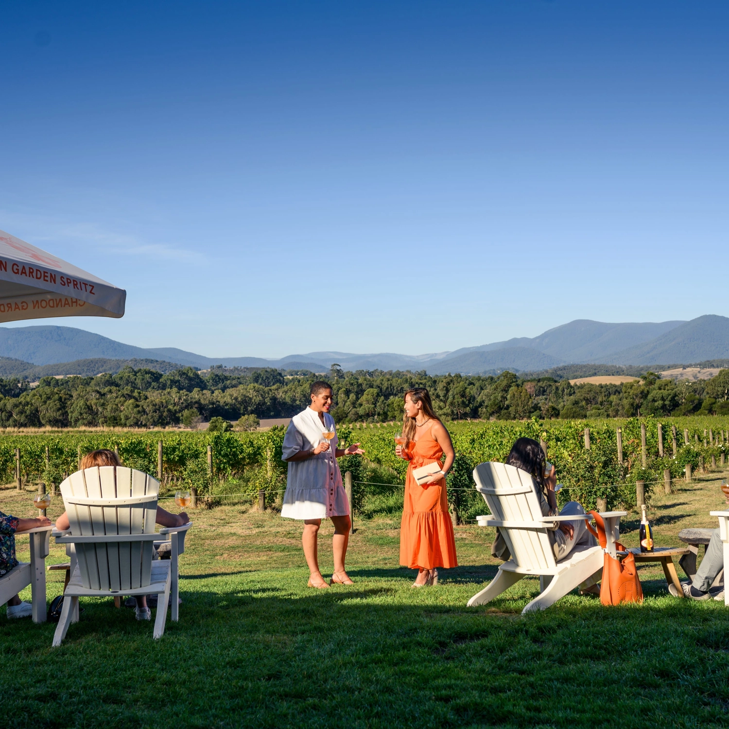 Yarra Valley Wine, Bubbles & Kangaroos Tour 4