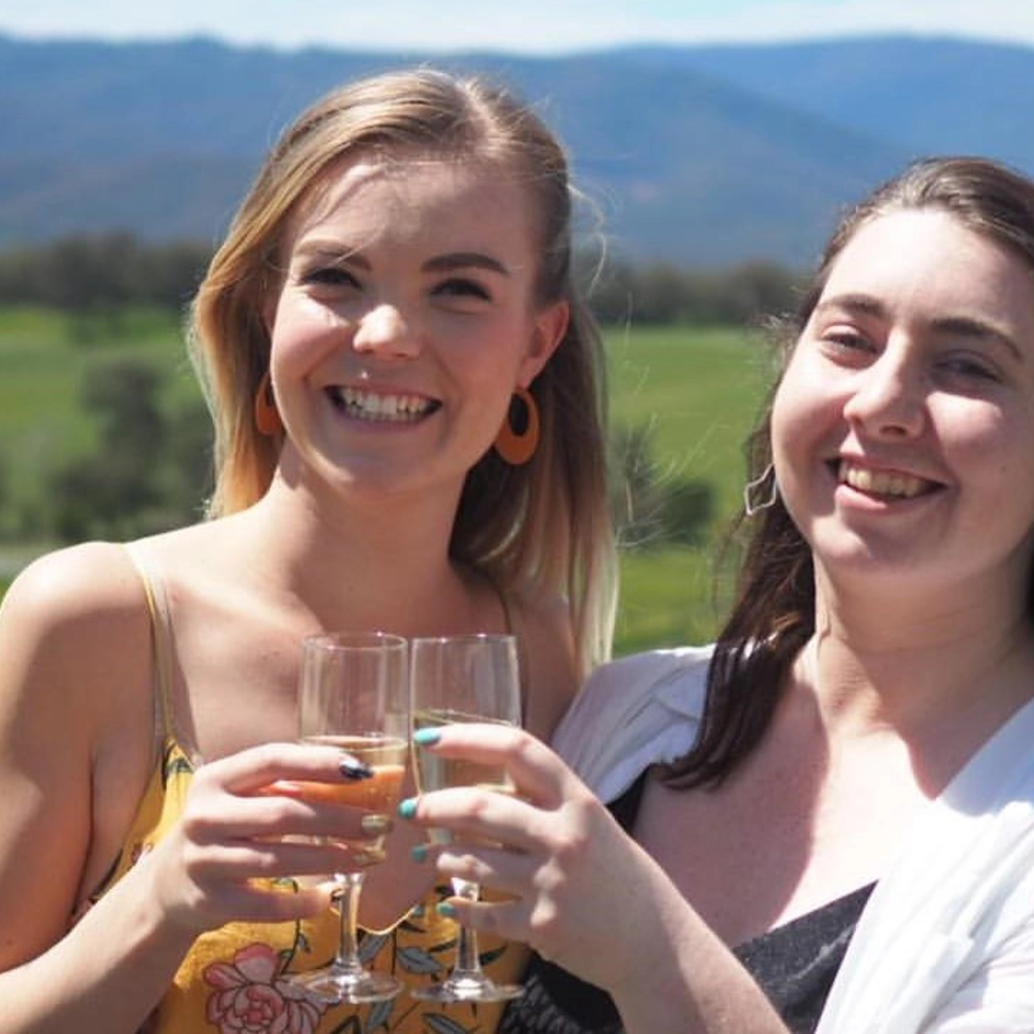 Yarra Valley Wine, Bubbles & Kangaroos Tour 6