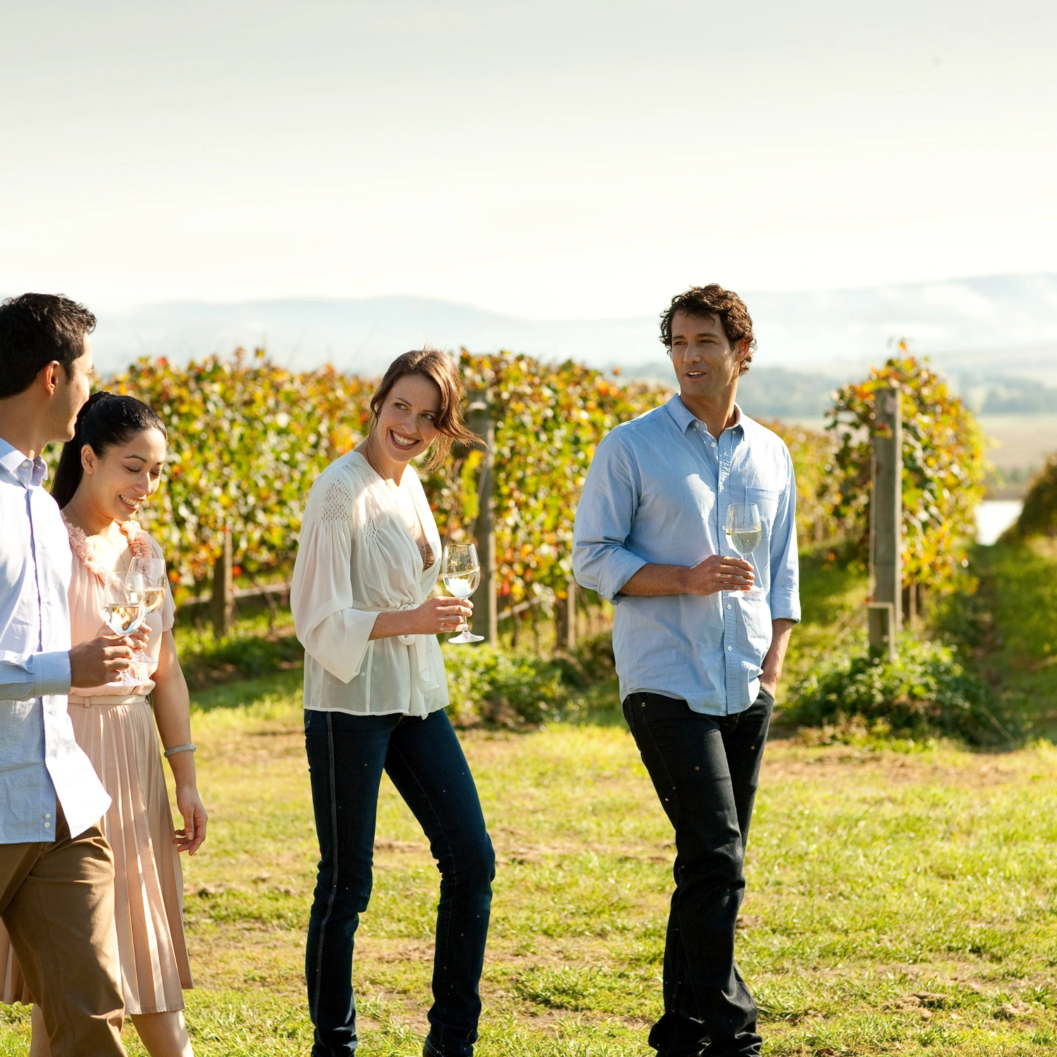 Yarra Valley Wine, Bubbles & Kangaroos Tour 3