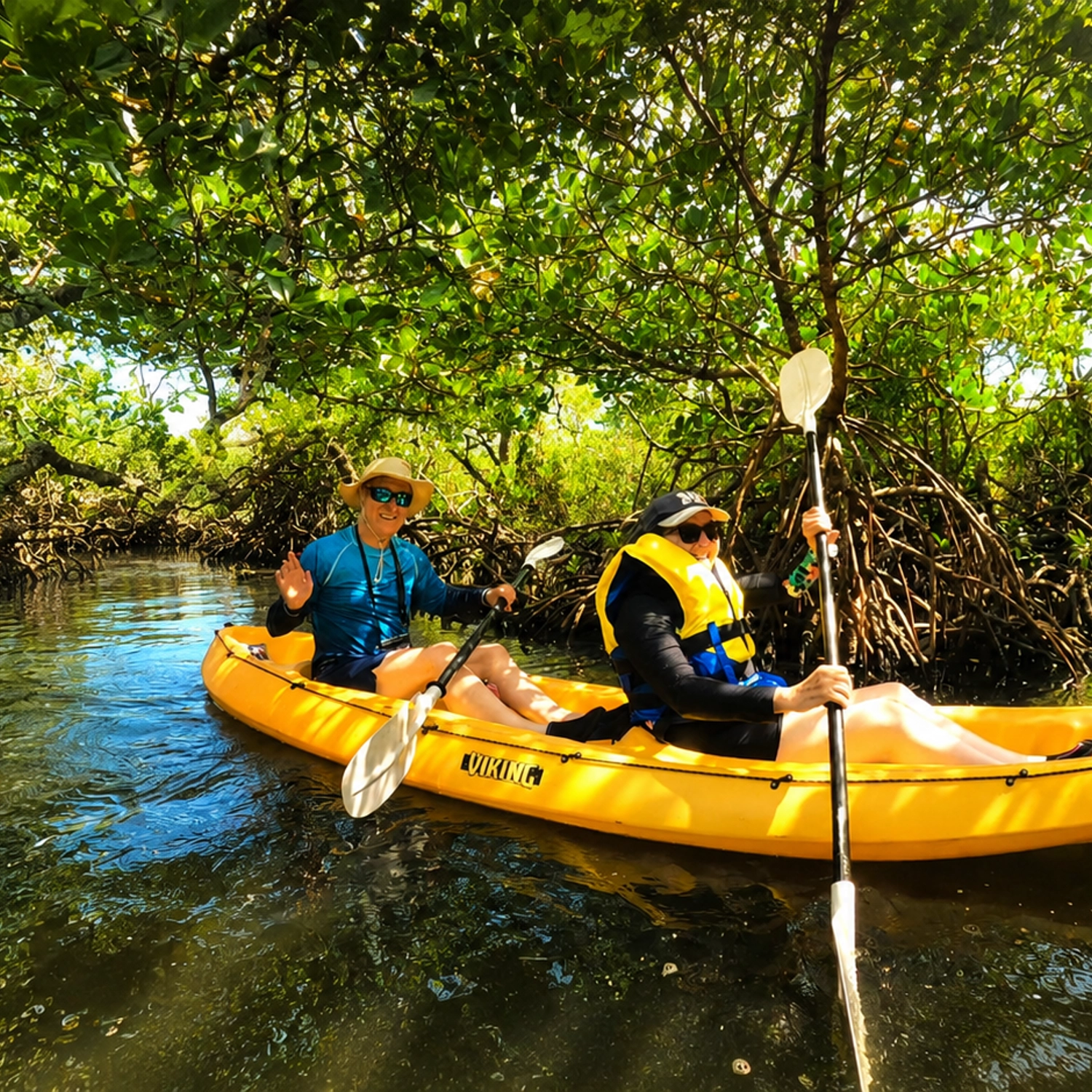 Noosa Hidden Waterways & Wildlife Kayak Tour (Fully Guided) 3