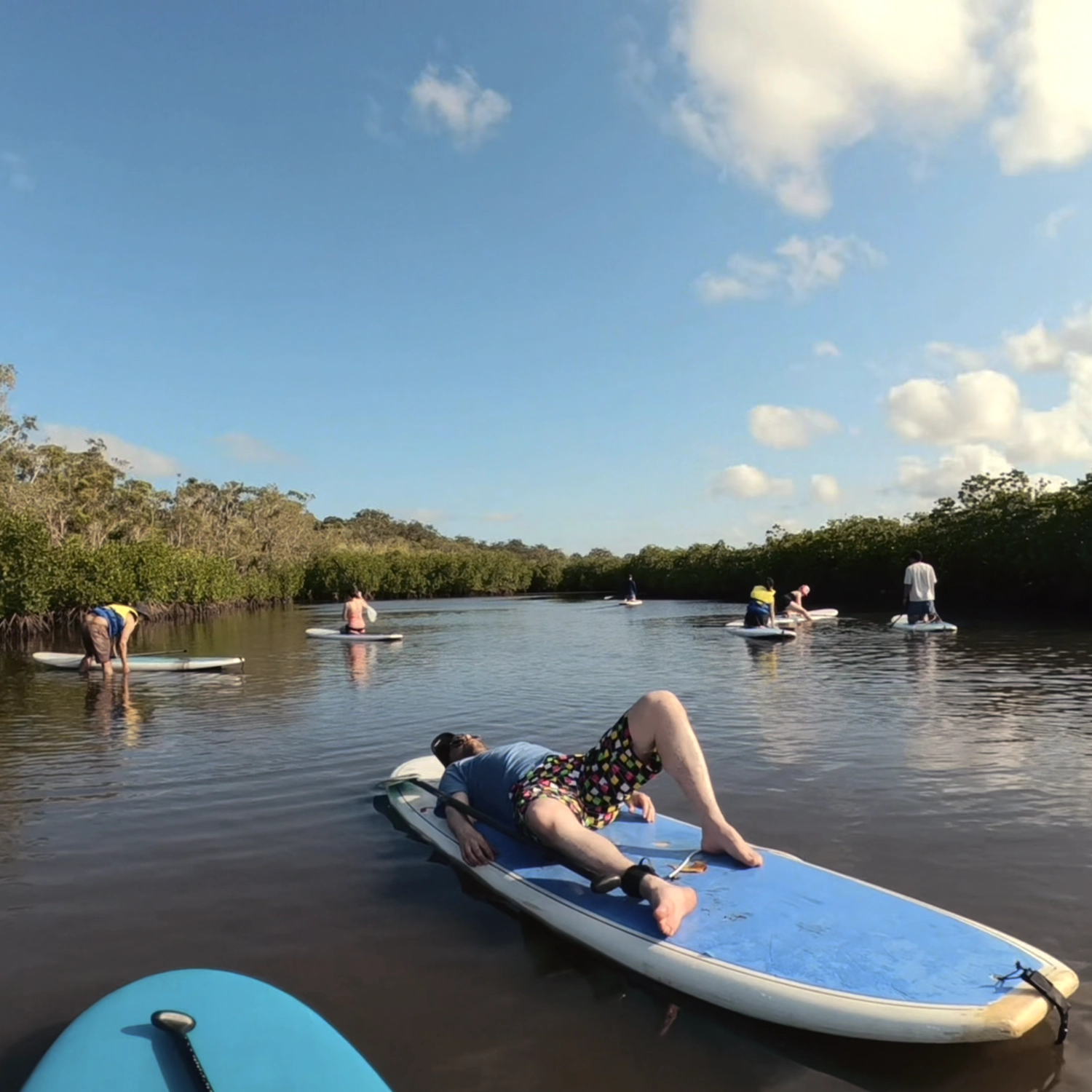 Noosa Stand Up Paddle & Mangrove Tunnel Tour (Fully Guided) 7
