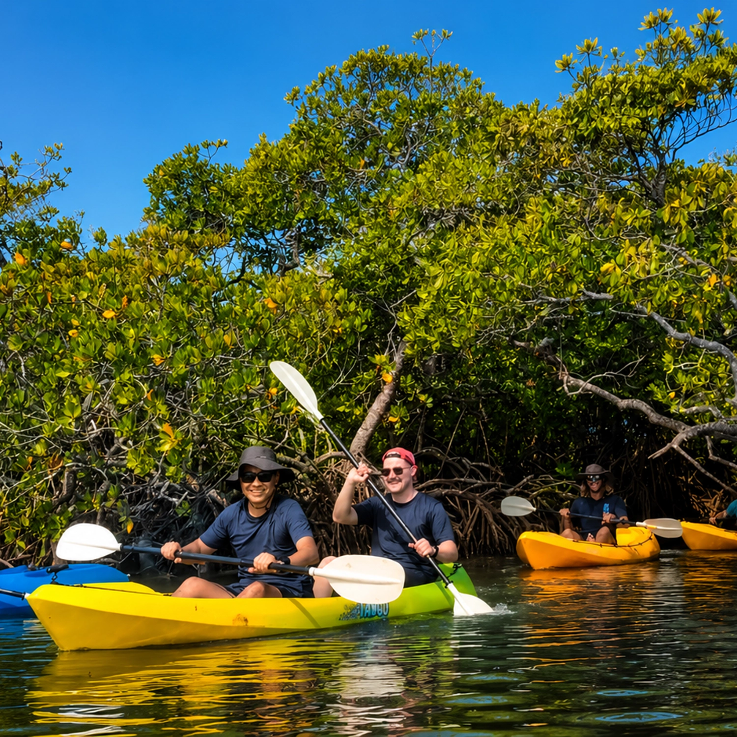Noosa Hidden Waterways & Wildlife Kayak Tour (Self Guided) 6