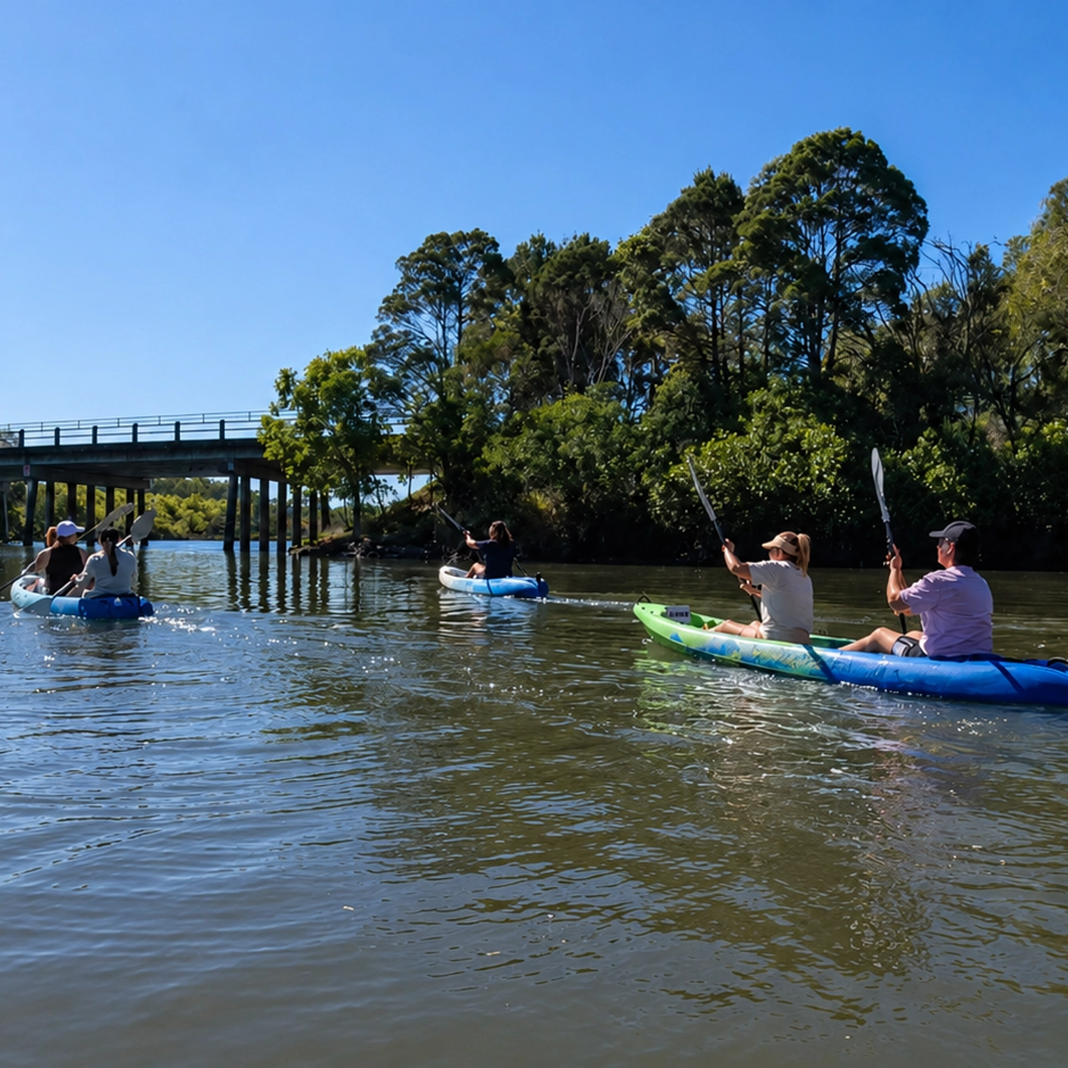 Noosa Hidden Waterways & Wildlife Kayak Tour (Self Guided) 5
