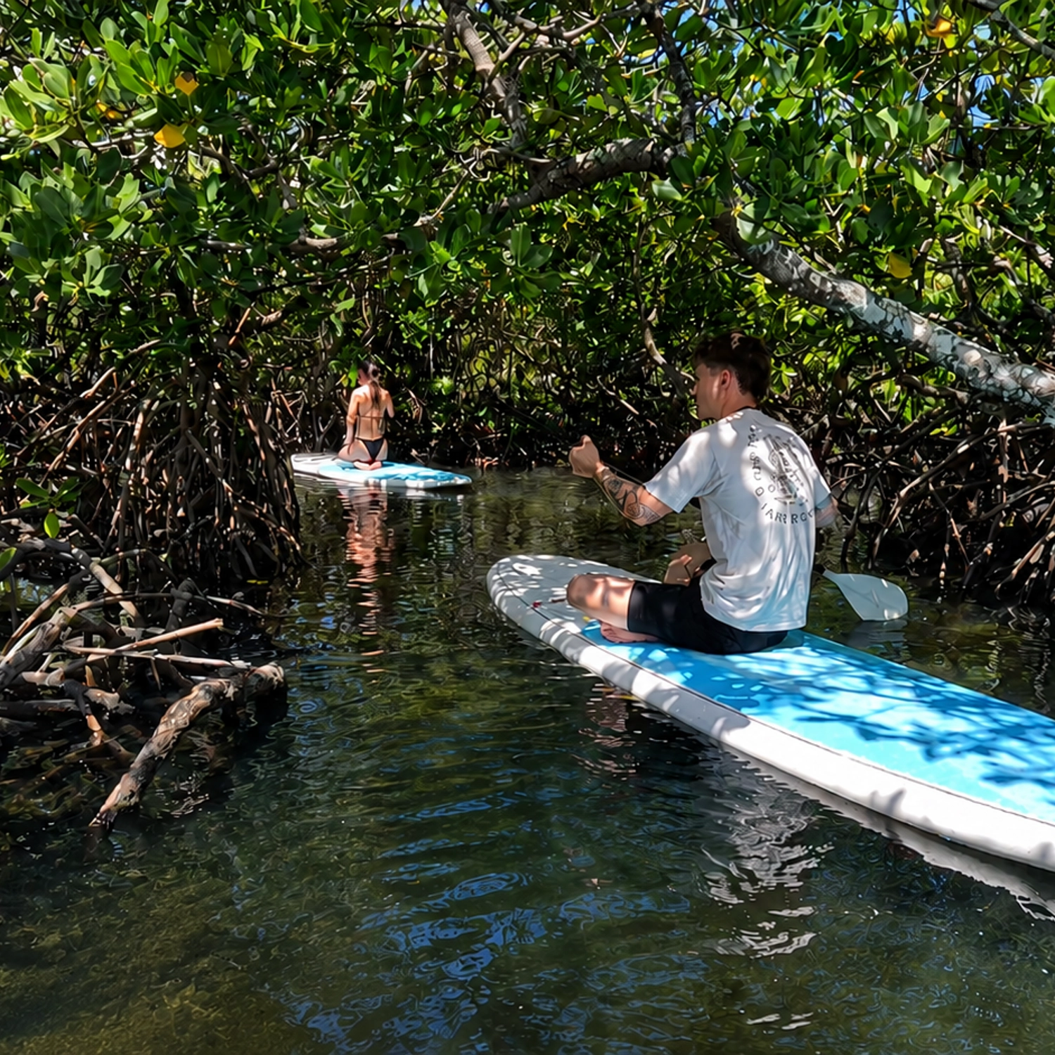 Noosa Stand Up Paddle & Mangrove Tunnel Tour (Self Guided) 2