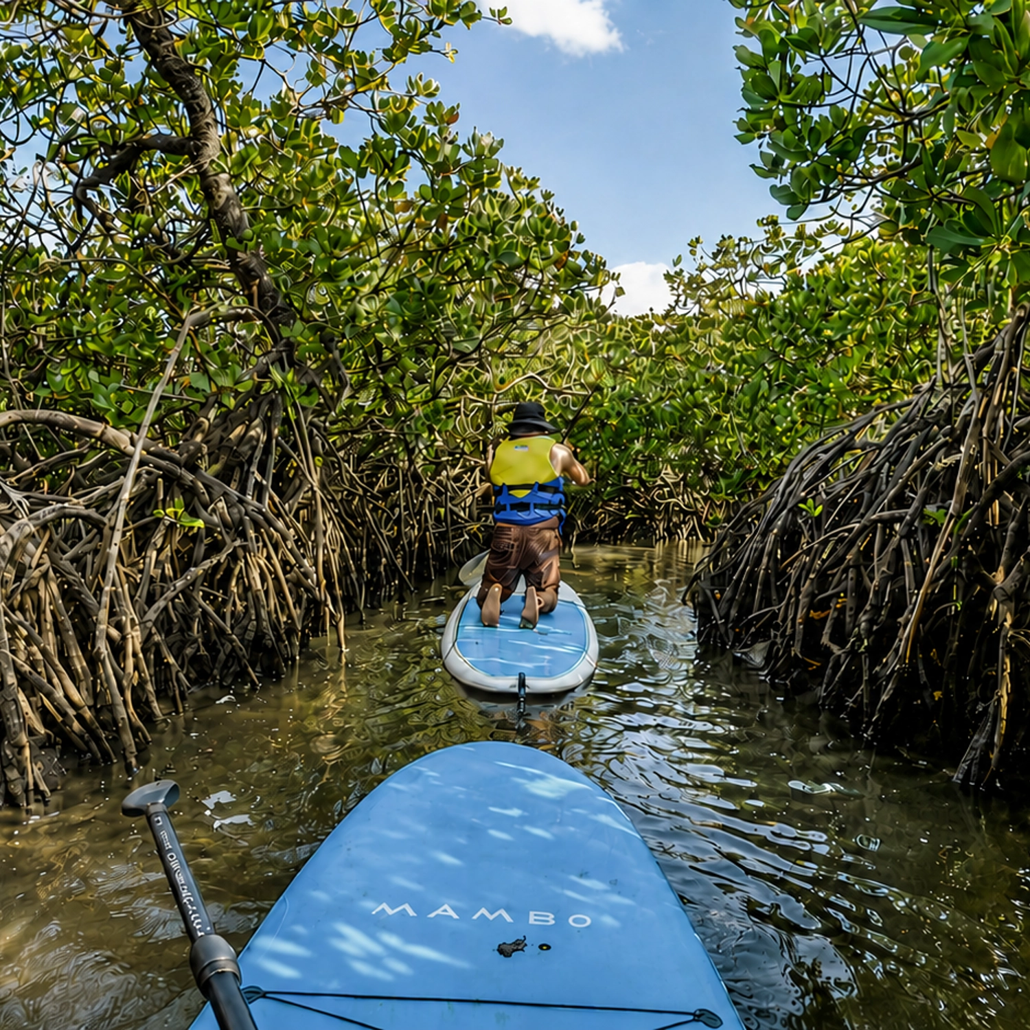 Noosa Stand Up Paddle & Mangrove Tunnel Tour (Self Guided) 5