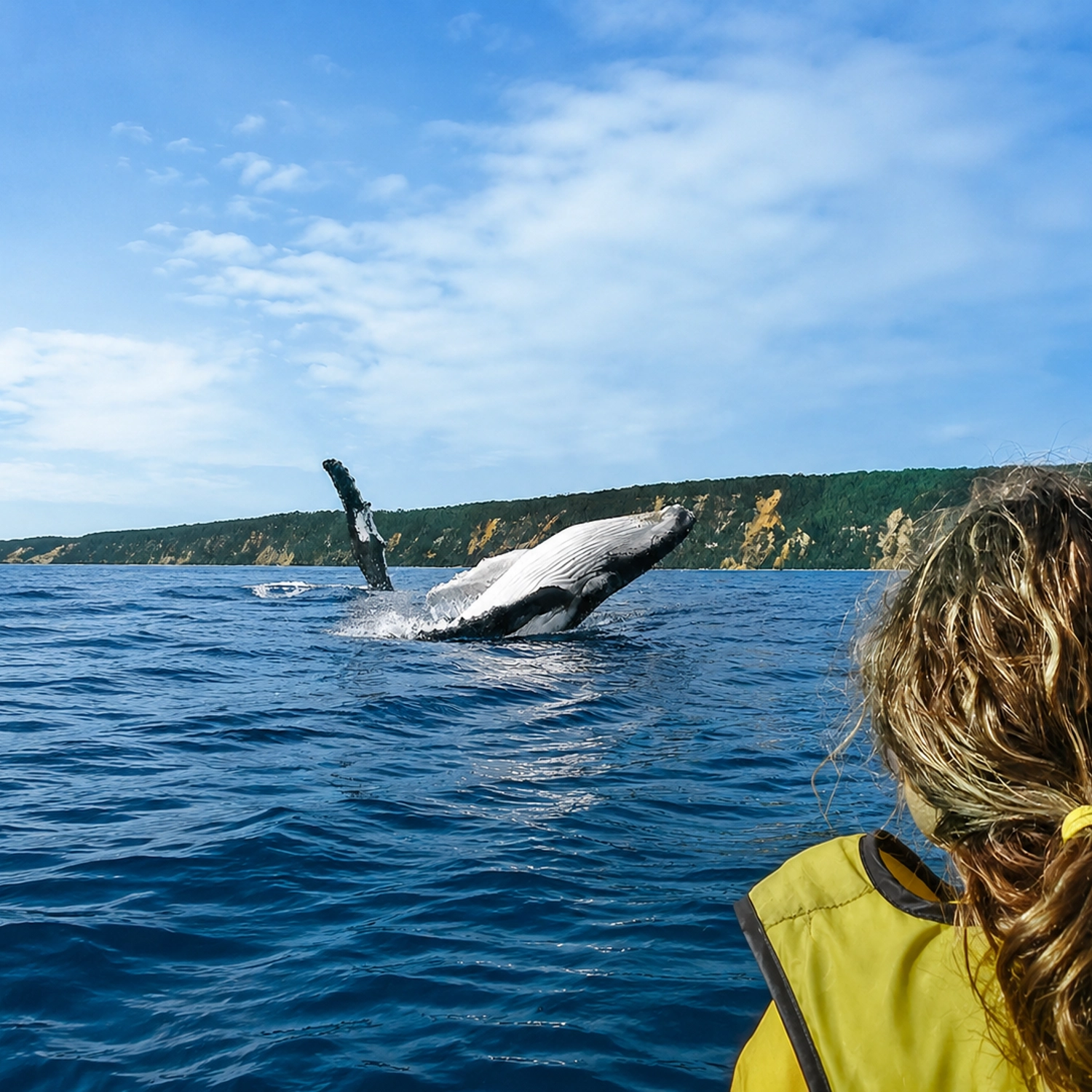 Whale Watching Ocean Kayak + 4x4 Beach Drive Adventure 2