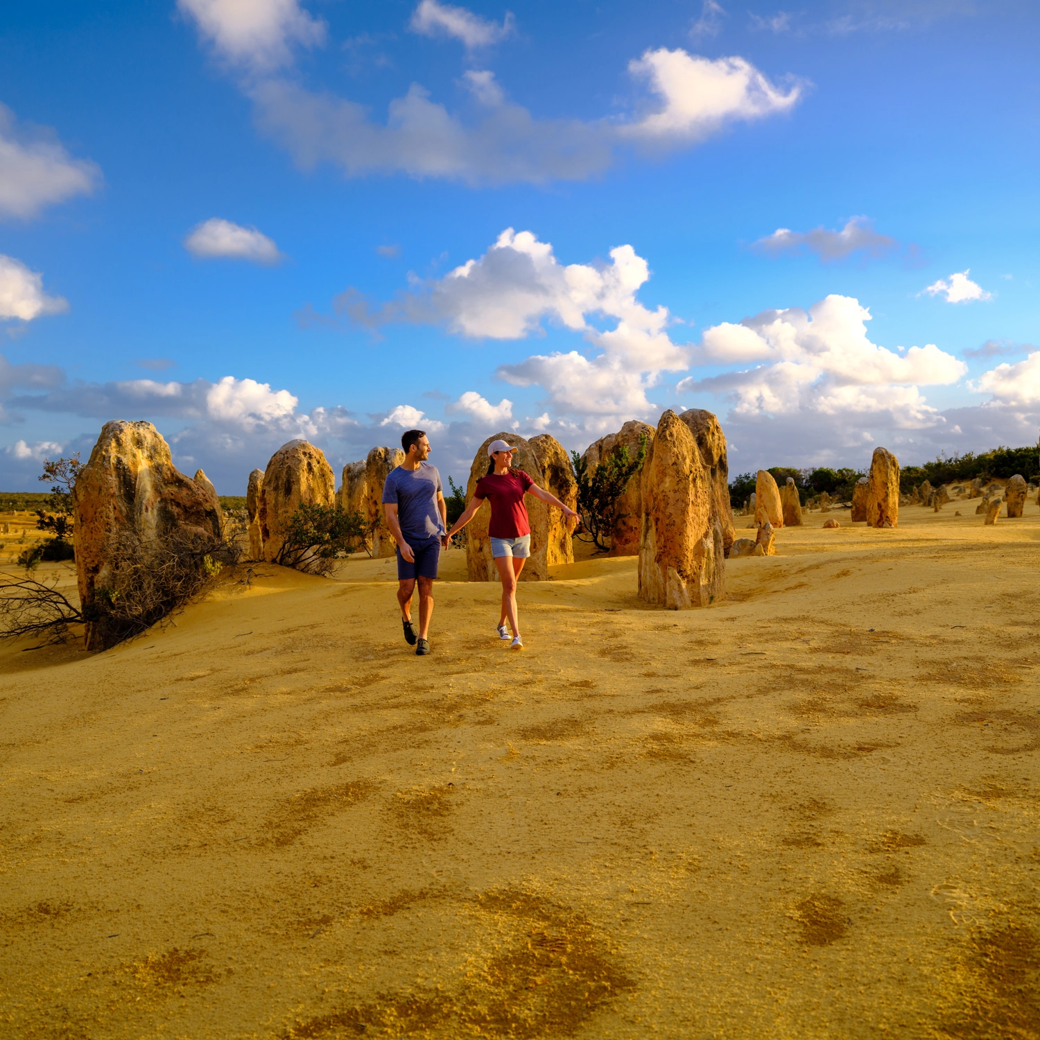 Pinnacles Desert Lobster & Yanchep Tour 4