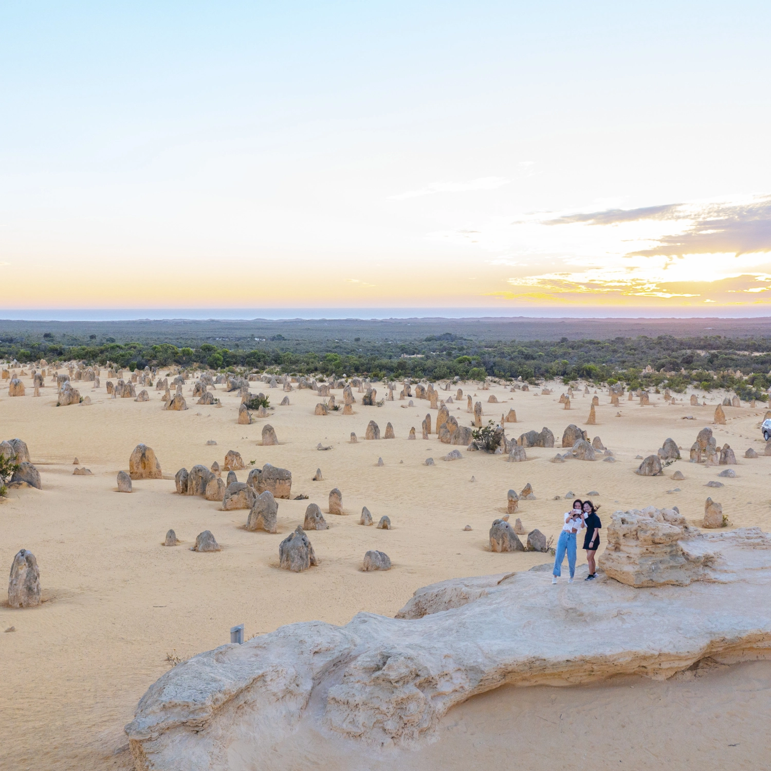 Pinnacles Desert Lobster & Yanchep Tour 2