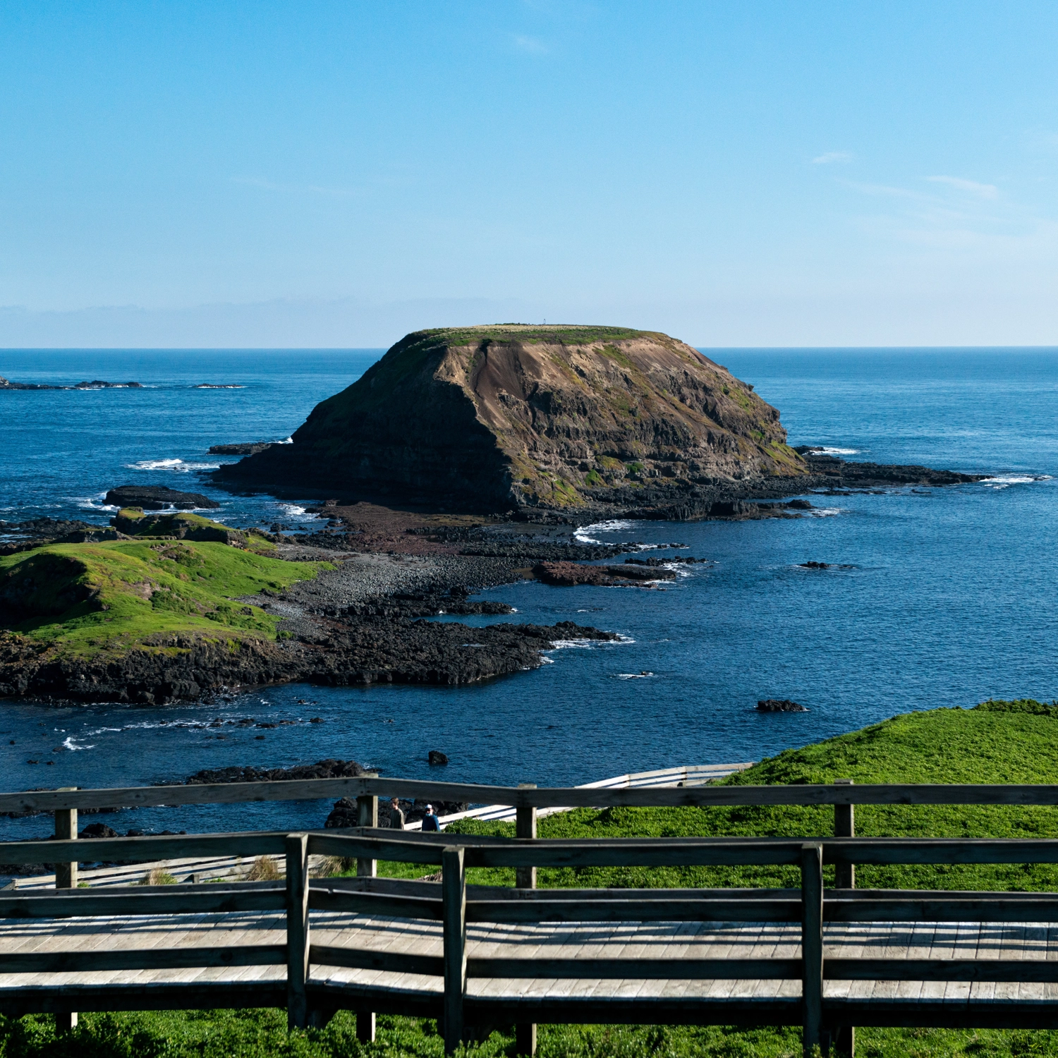 Phillip Island + Penguins Plus Viewing Platform 7