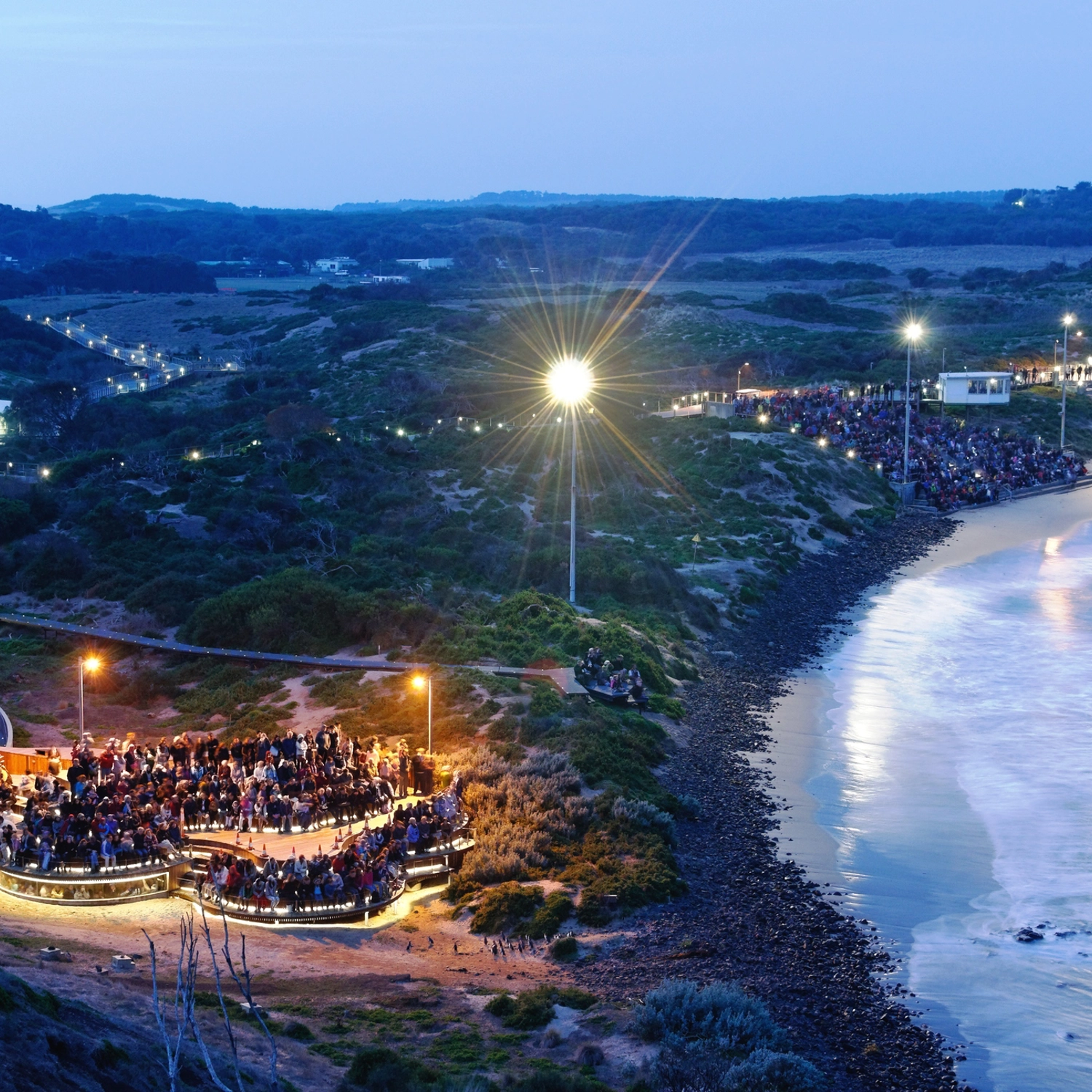 Phillip Island + Penguins Plus Viewing Platform 8