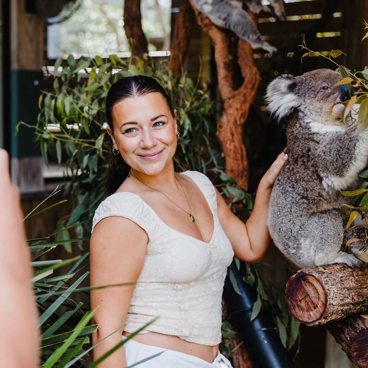 Jervis Bay Beach & Koalas Day Trip 3