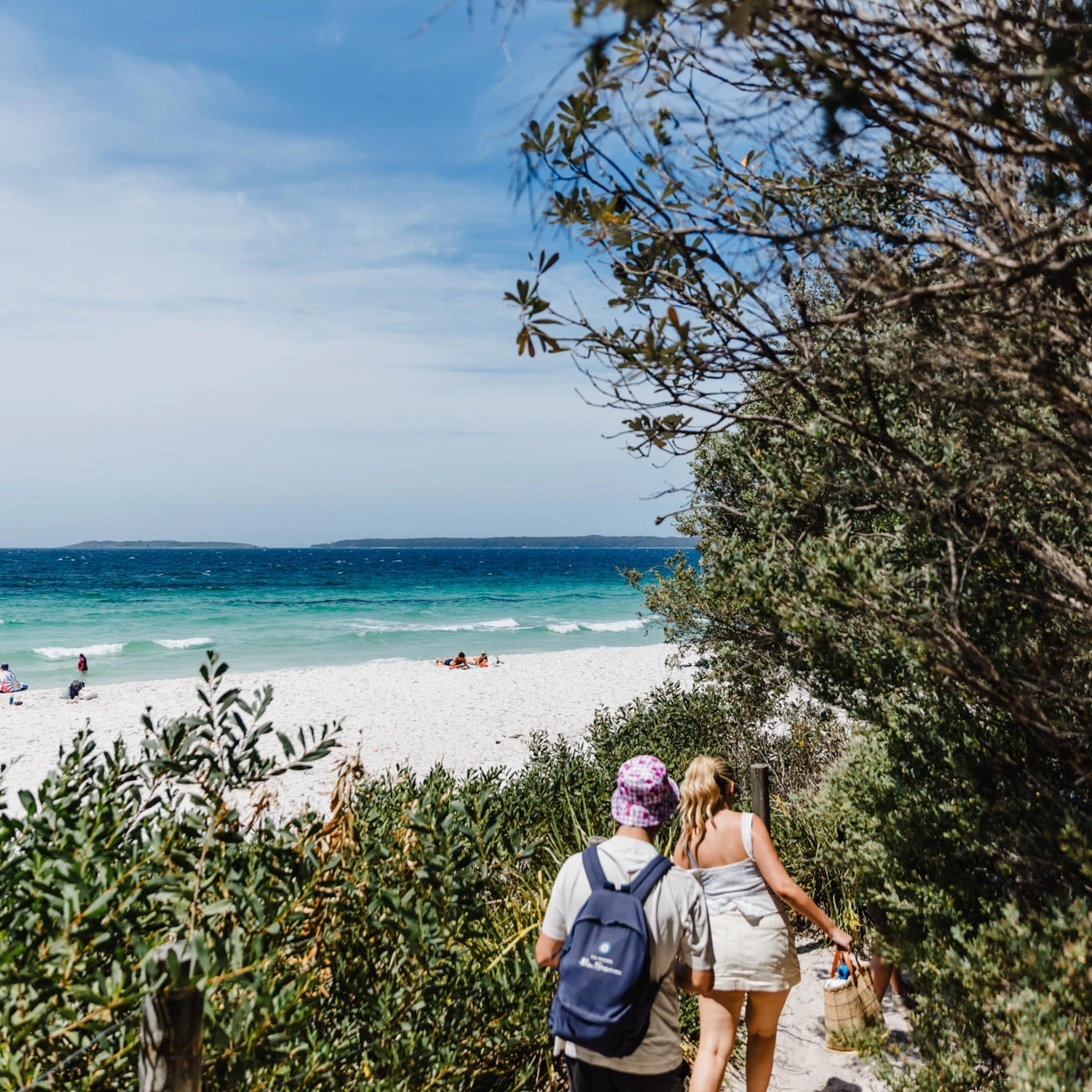 Jervis Bay Beach & Koalas Day Trip 2